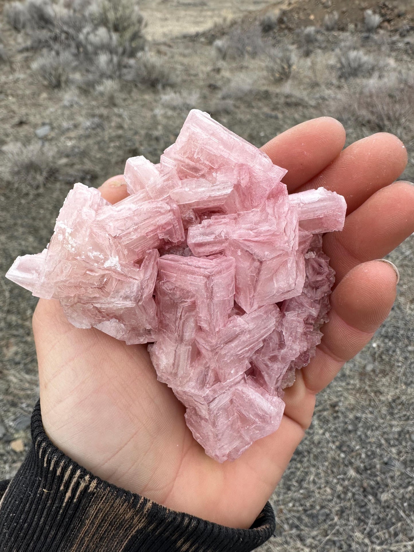 Pink Halite - Searles Lake, Trona, California, USA