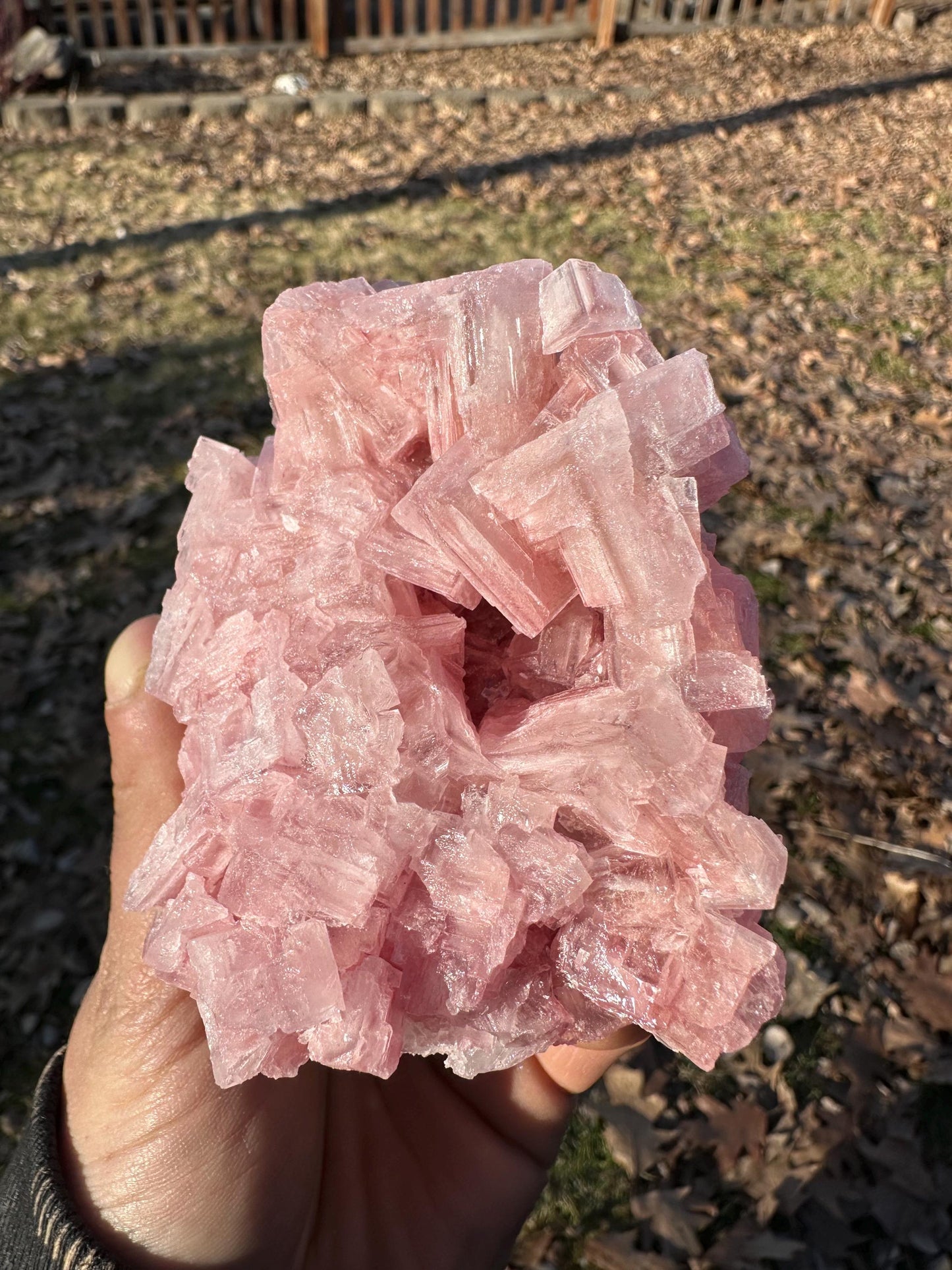 Pink Halite - Searles Lake, Trona, California, USA
