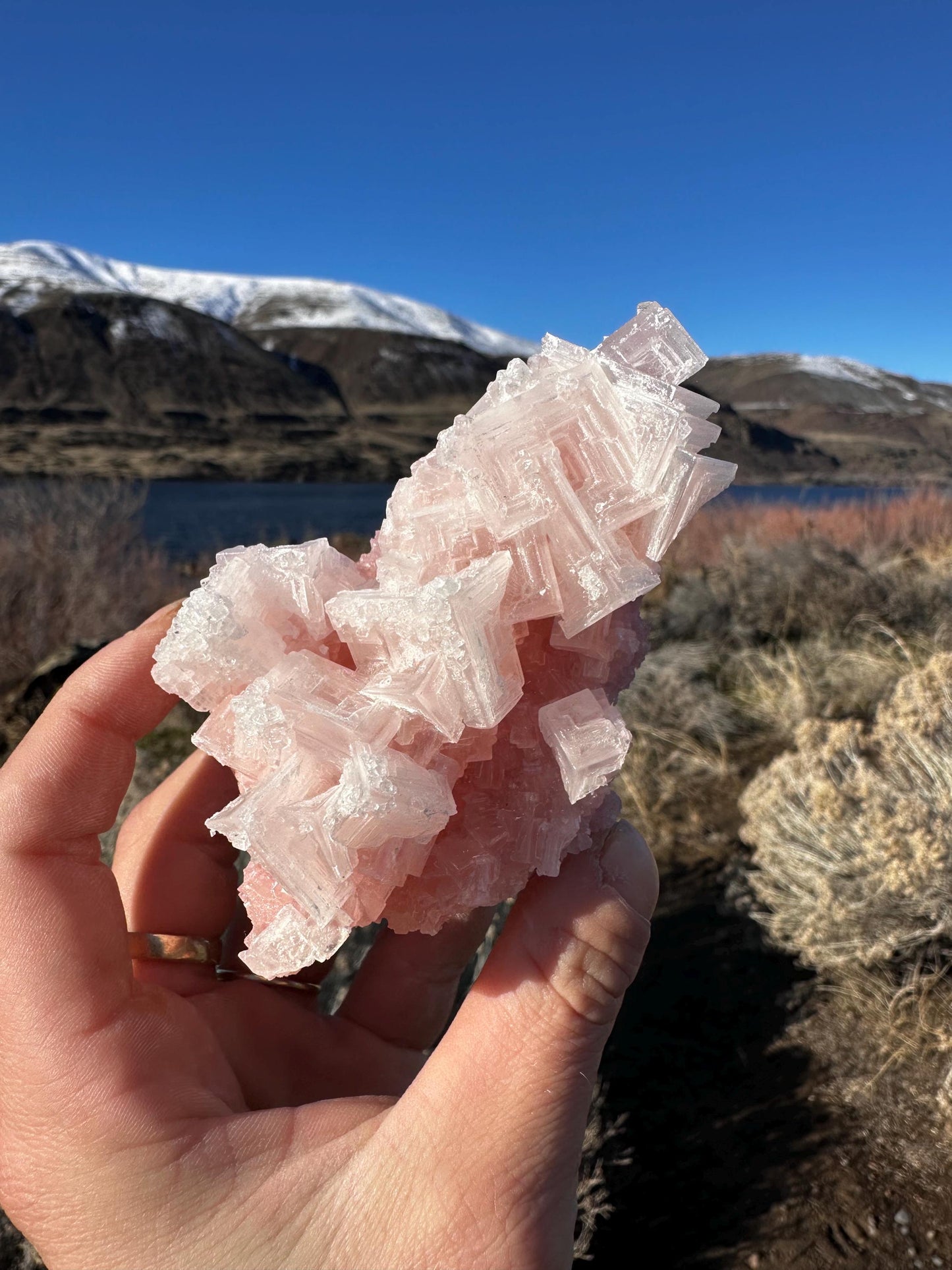 Pink Halite - Searles Lake, Trona, California, USA