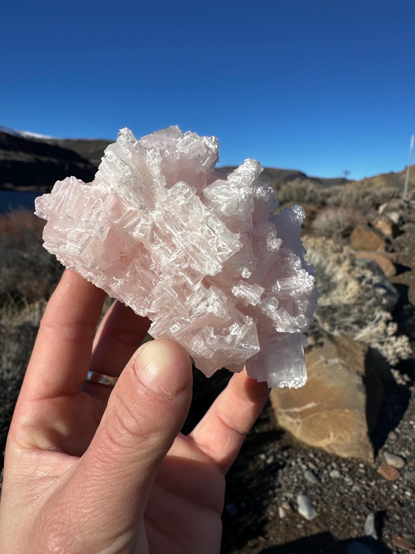 Pink Halite - Searles Lake, Trona, California, USA