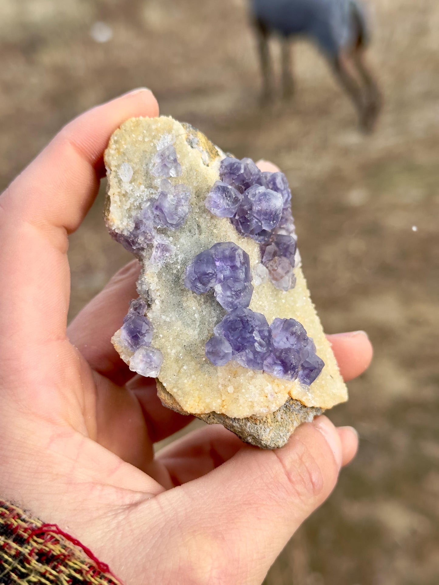 Fluorite - Xia Yang Mine, Fujian, China