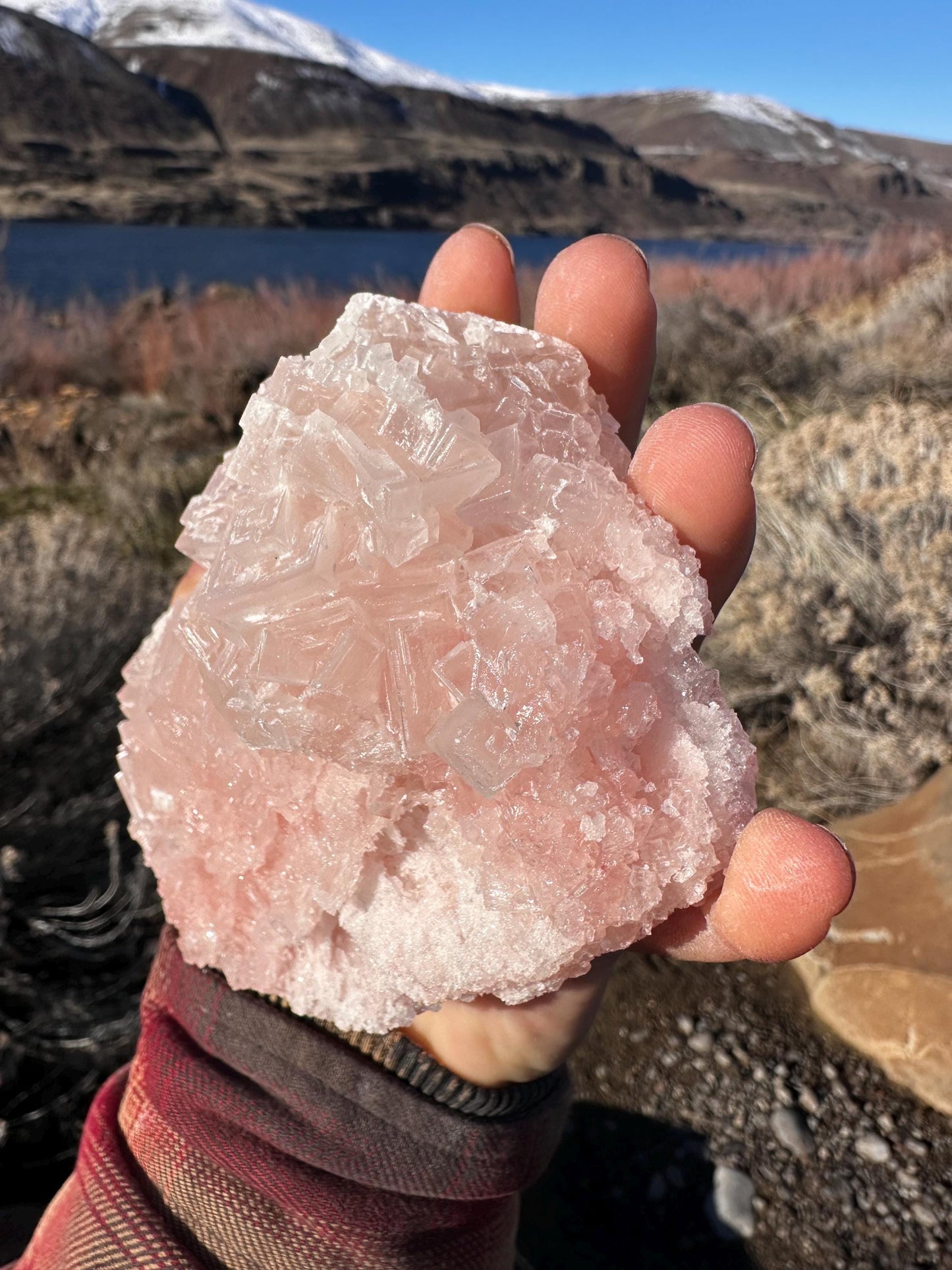 Pink Halite - Searles Lake, Trona, California, USA