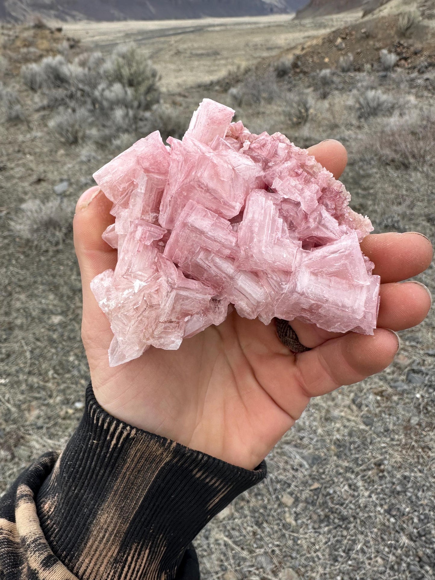 Pink Halite - Searles Lake, Trona, California, USA