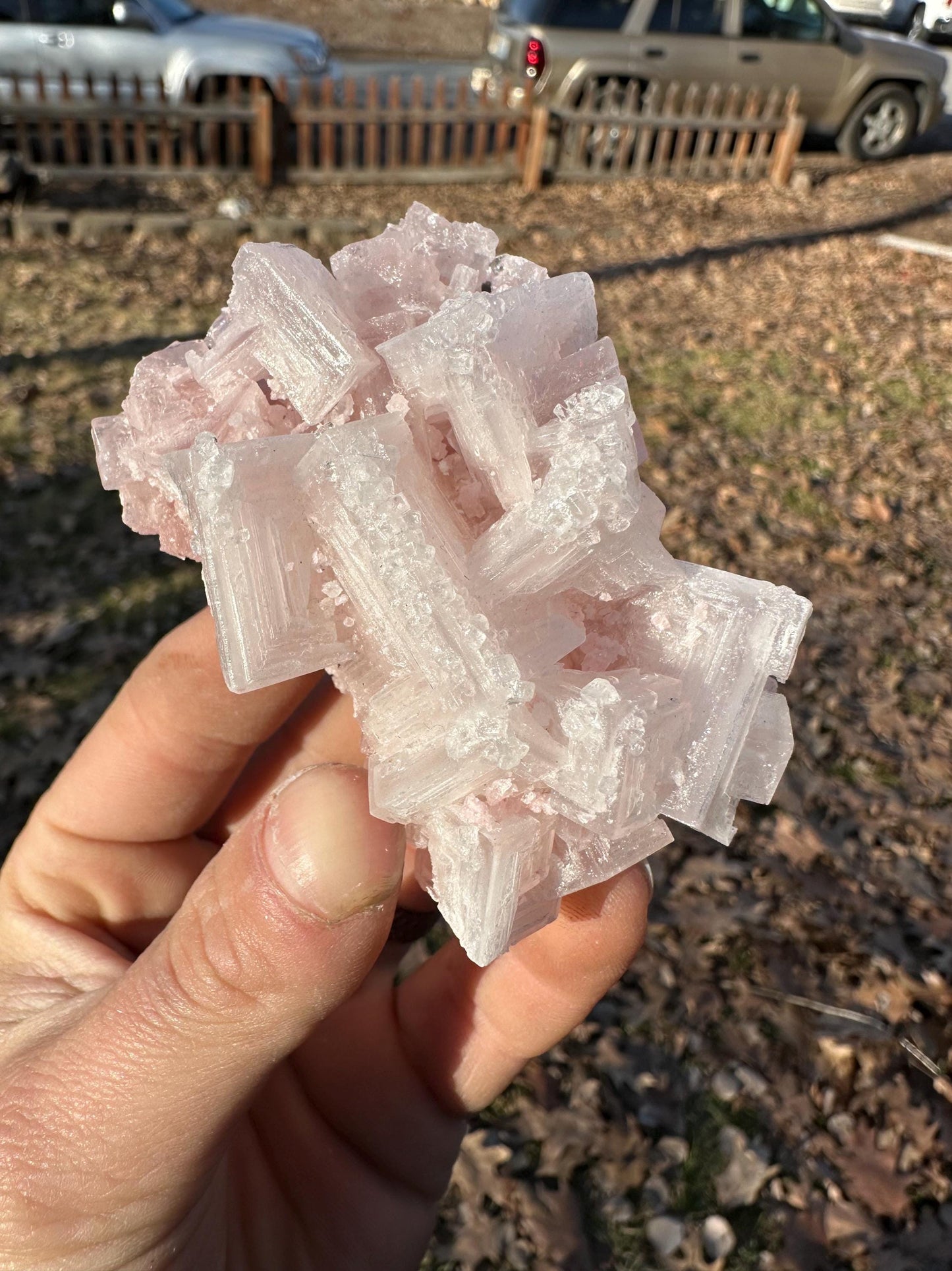 Pink Halite - Searles Lake, Trona, California, USA