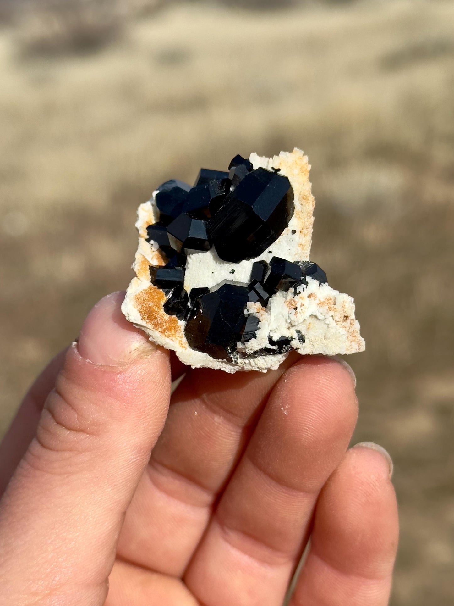 Black Tourmaline (Schorl) - Erongo Mountains, Namibia