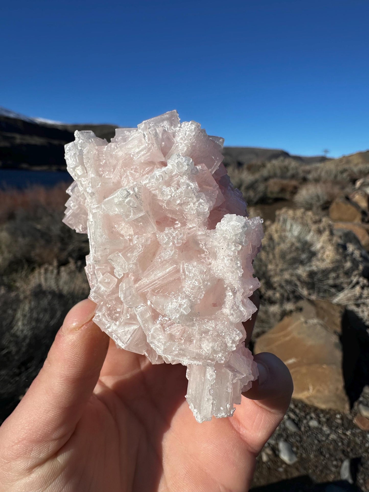 Pink Halite - Searles Lake, Trona, California, USA