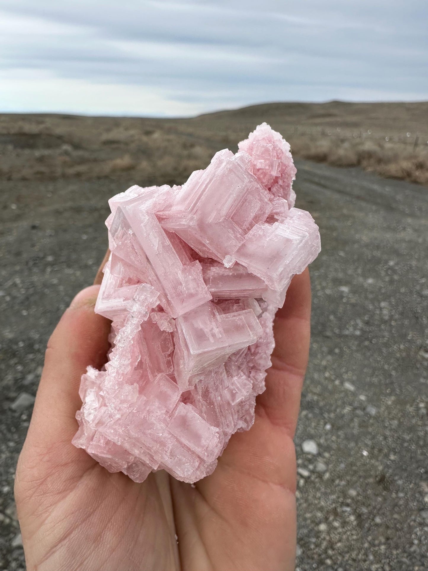 Pink Halite - Searles Lake, Trona, California, USA