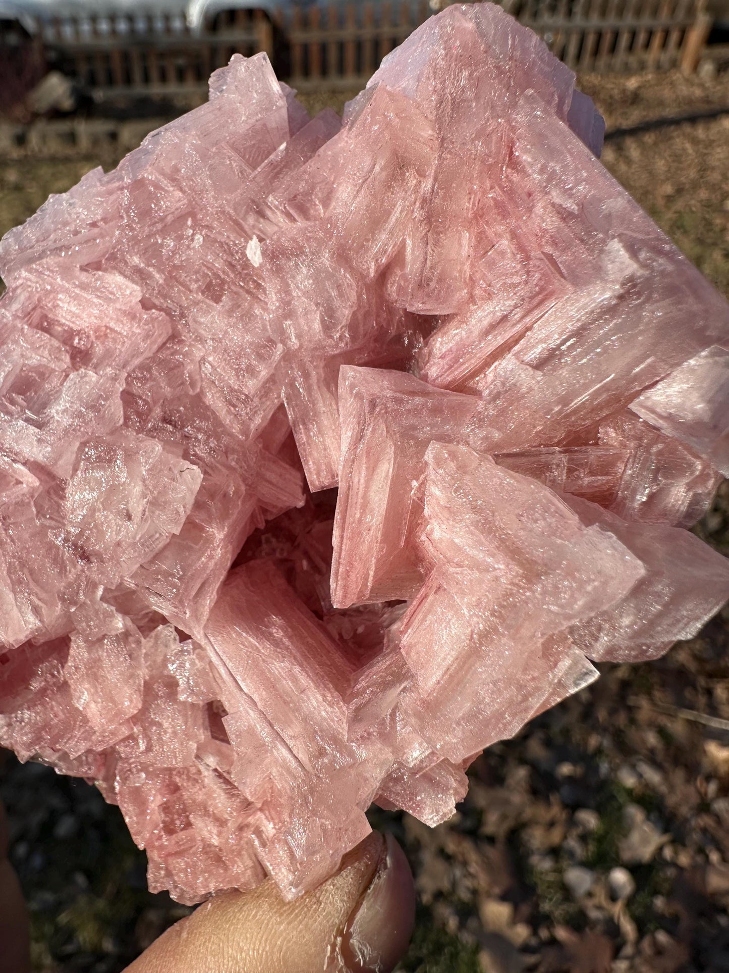 Pink Halite - Searles Lake, Trona, California, USA