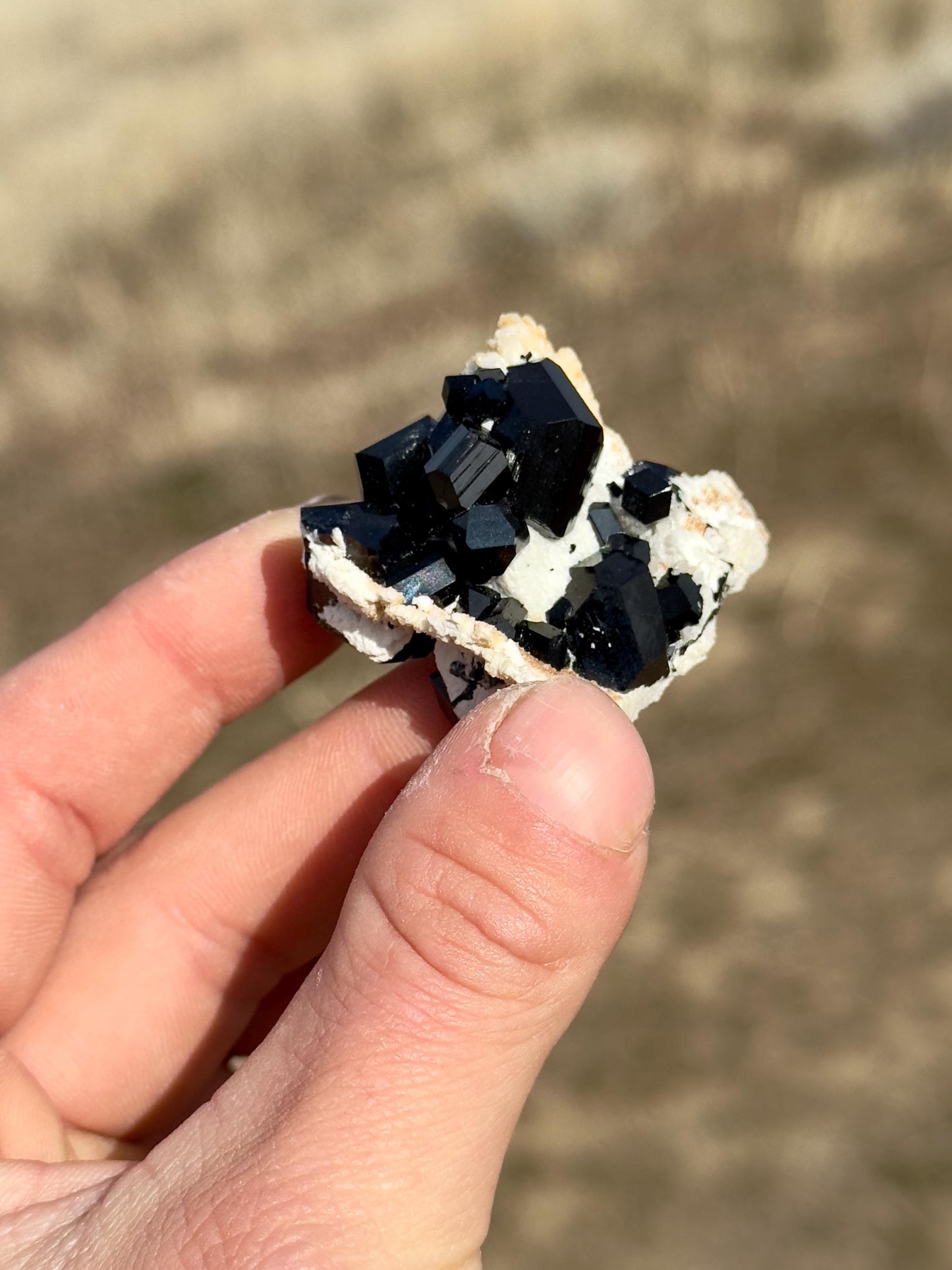 Black Tourmaline (Schorl) - Erongo Mountains, Namibia