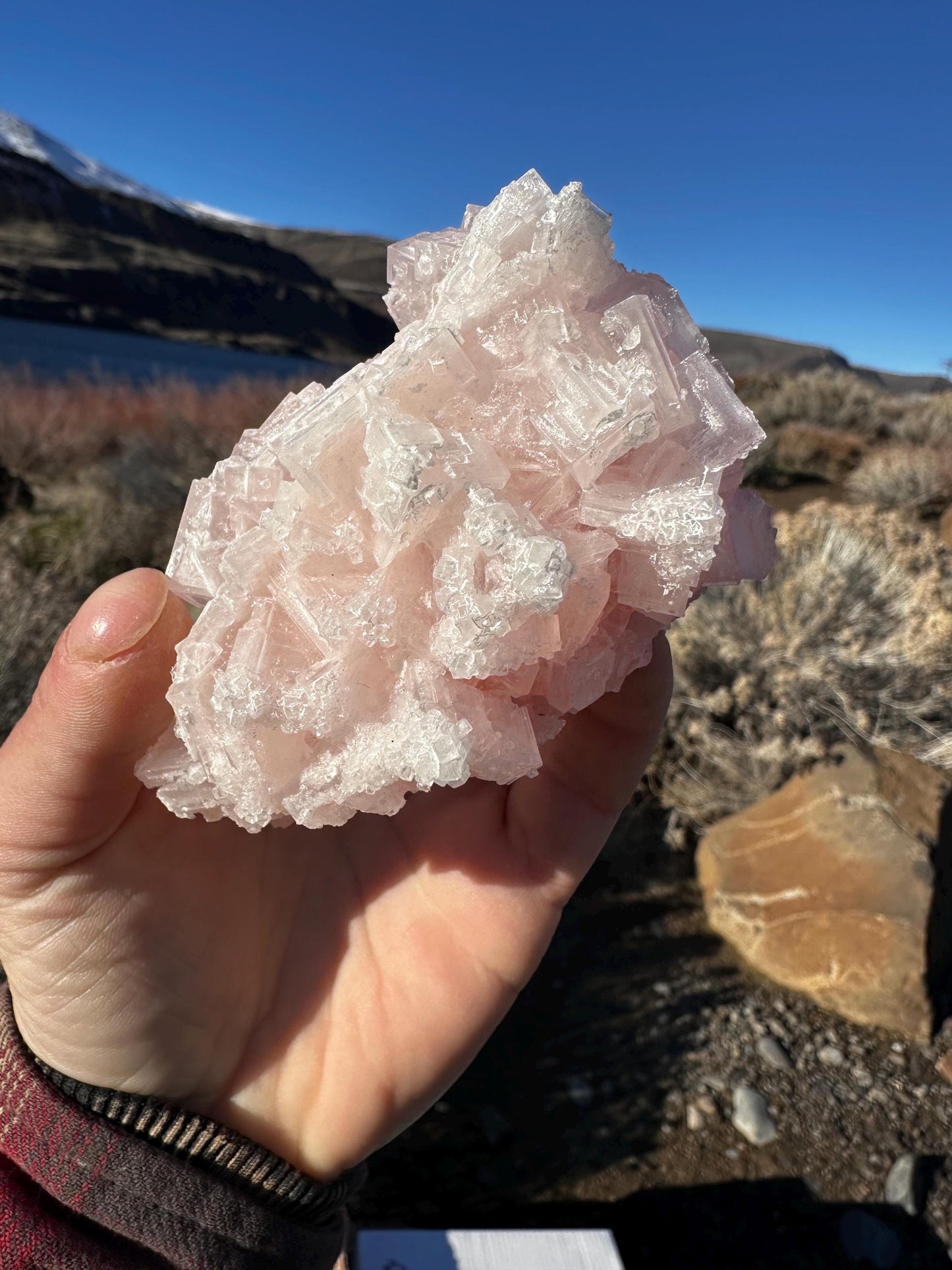 Pink Halite - Searles Lake, Trona, California, USA