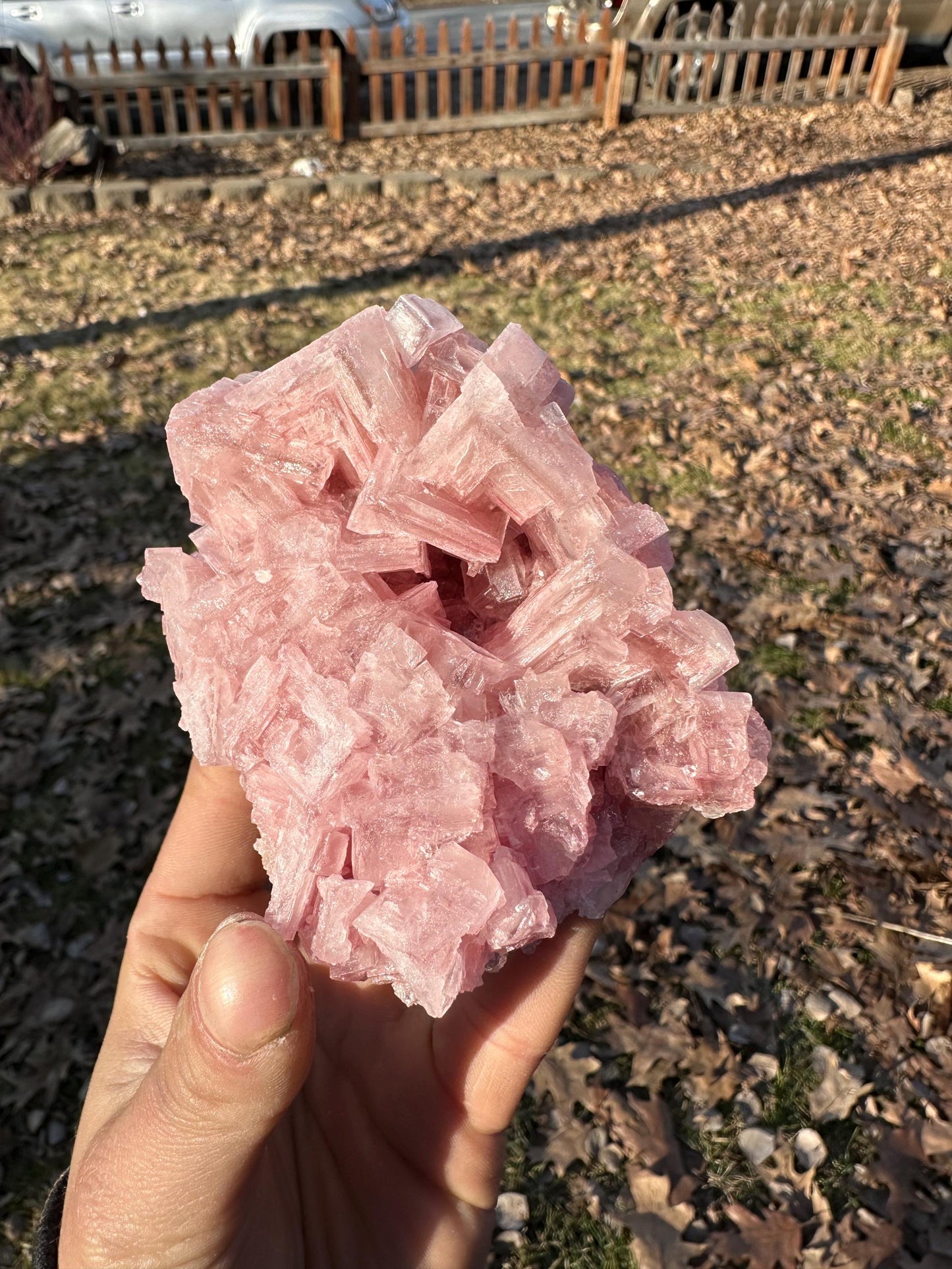 Pink Halite - Searles Lake, Trona, California, USA