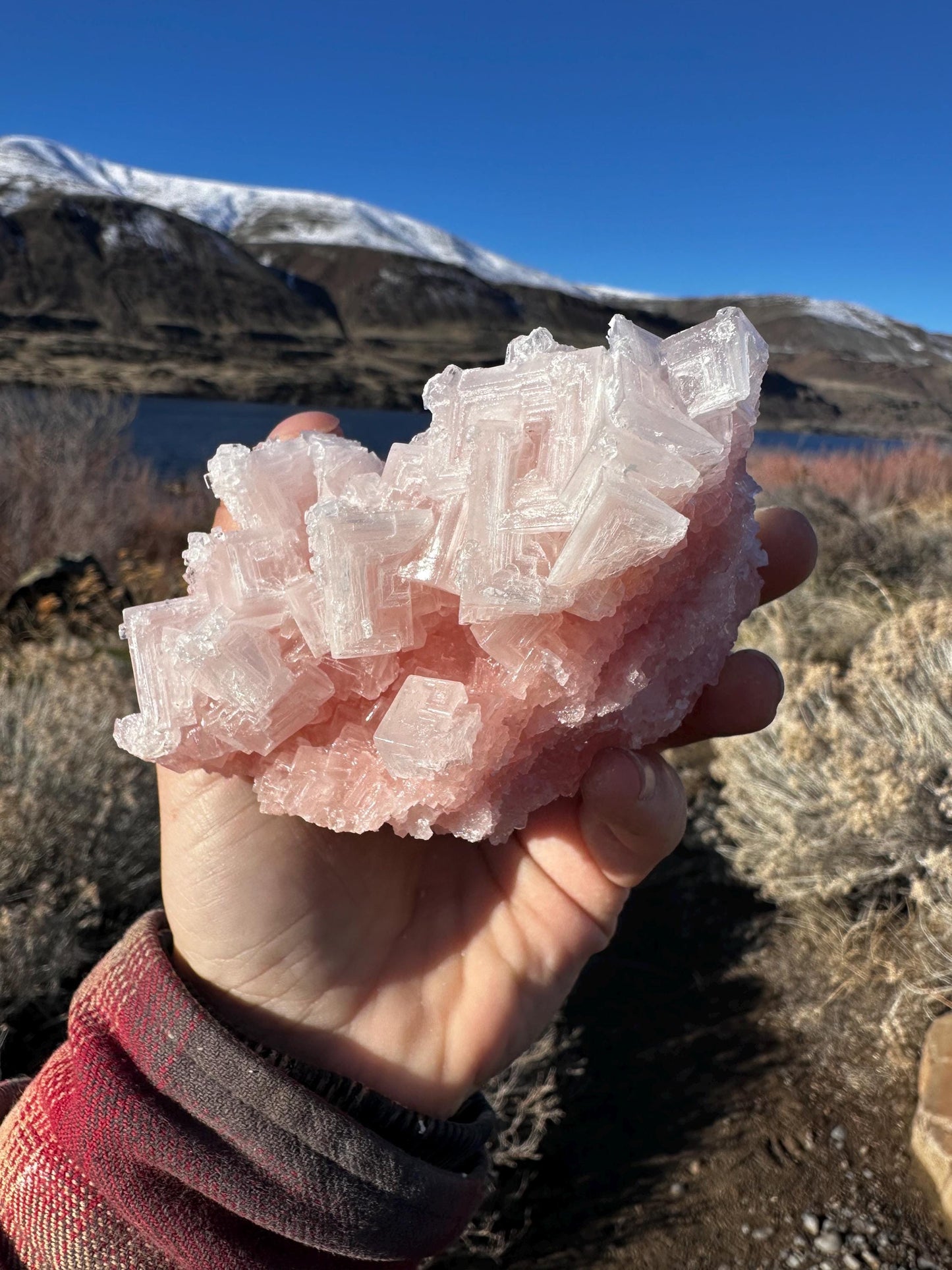 Pink Halite - Searles Lake, Trona, California, USA