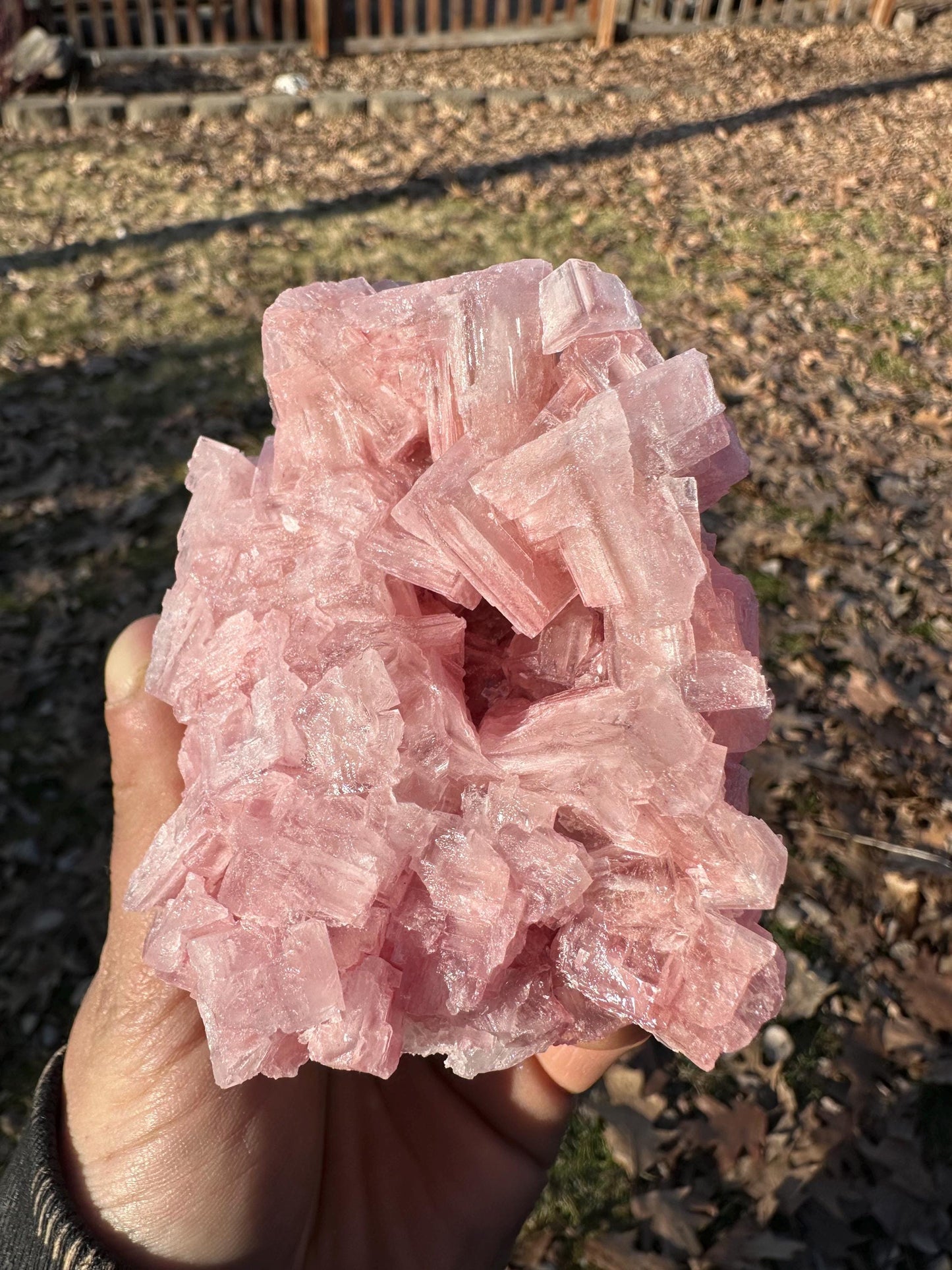Pink Halite - Searles Lake, Trona, California, USA