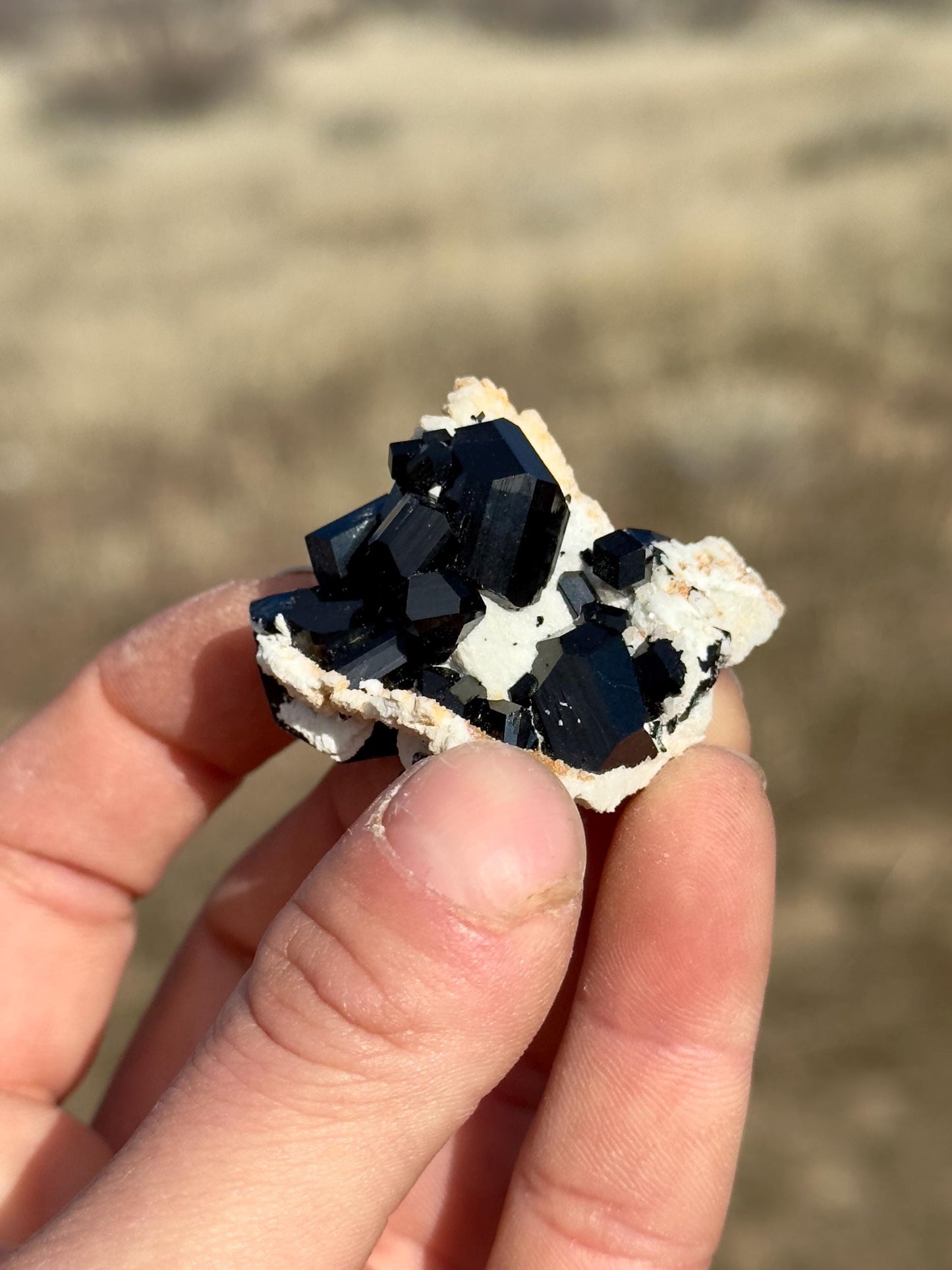 Black Tourmaline (Schorl) - Erongo Mountains, Namibia