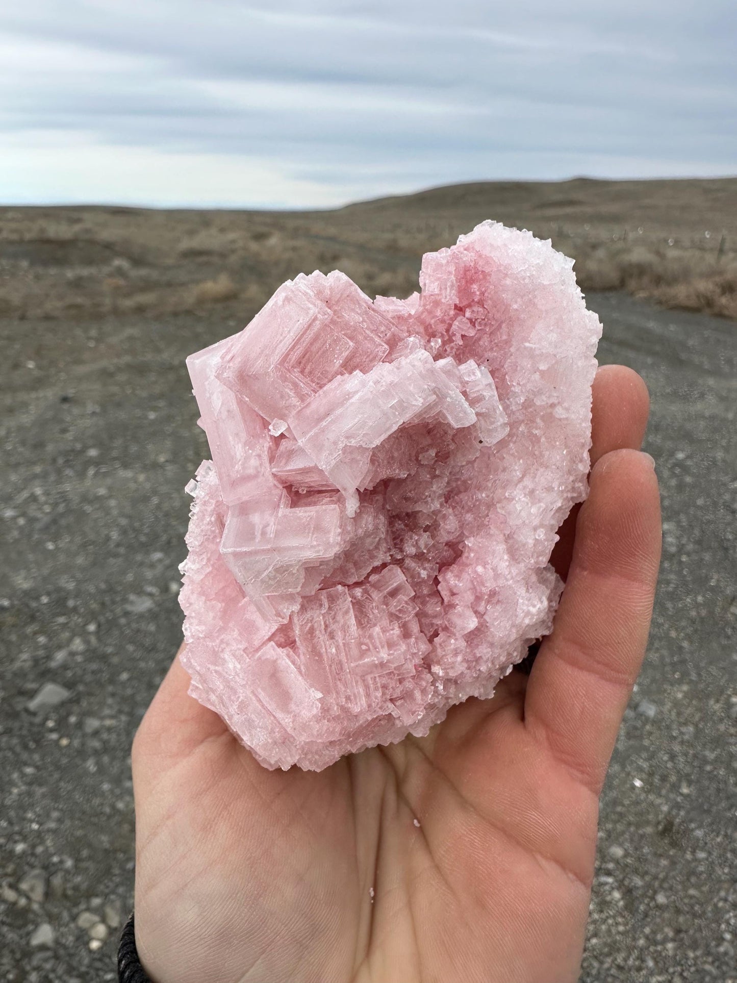 Pink Halite - Searles Lake, Trona, California, USA