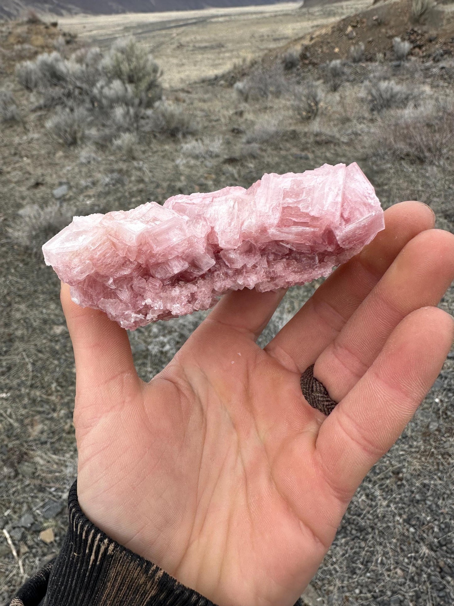 Pink Halite - Searles Lake, Trona, California, USA