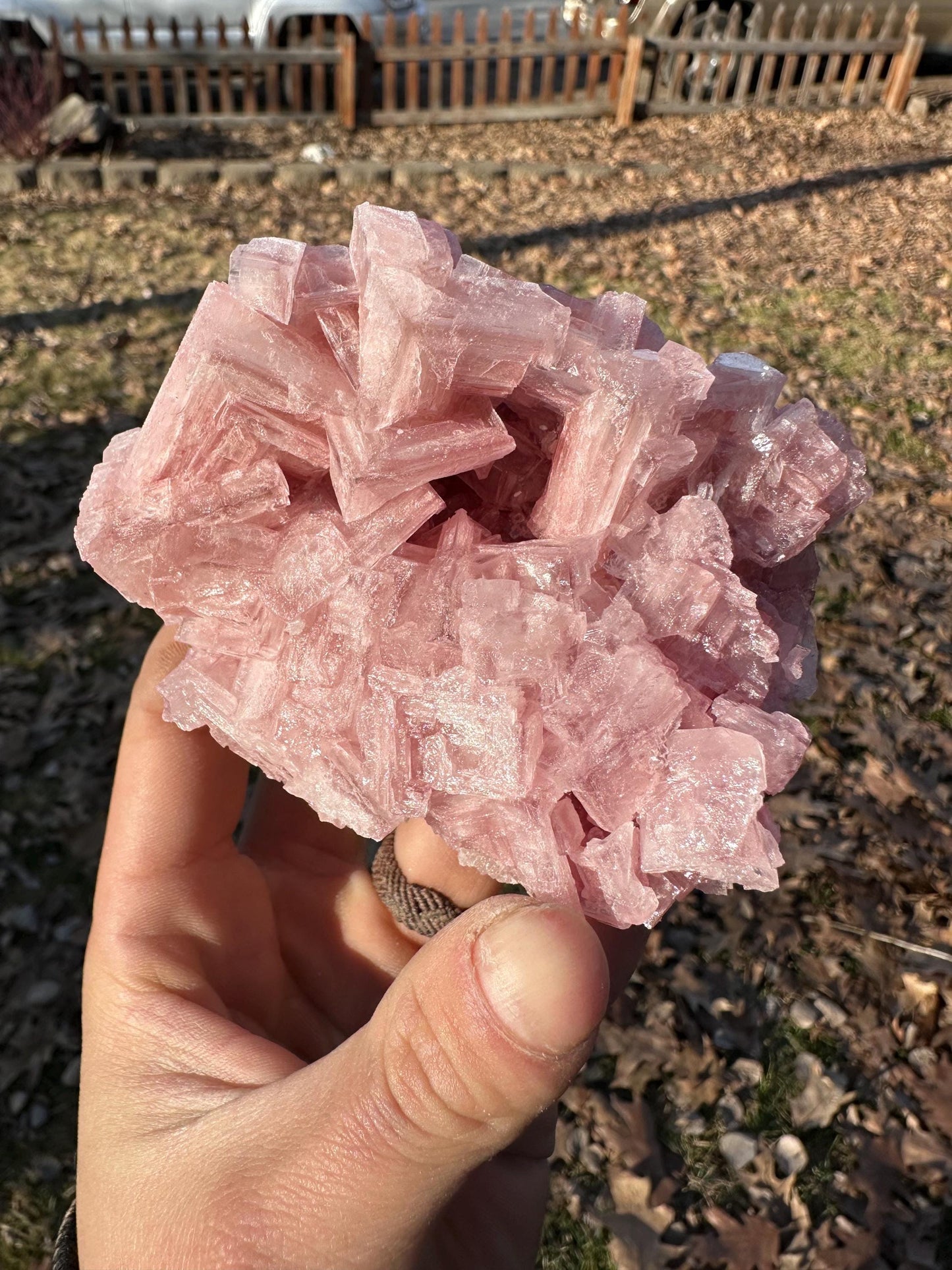 Pink Halite - Searles Lake, Trona, California, USA