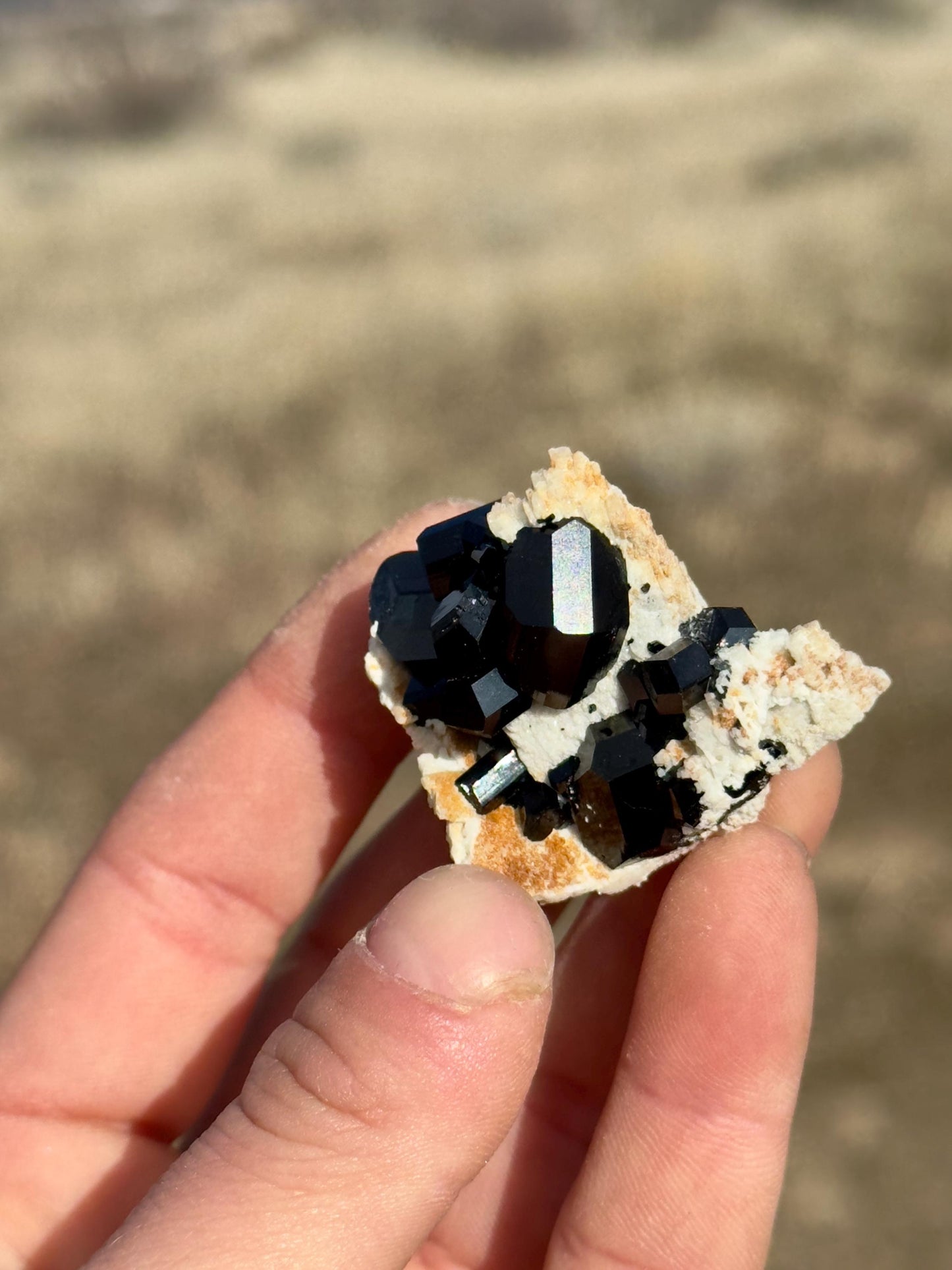 Black Tourmaline (Schorl) - Erongo Mountains, Namibia