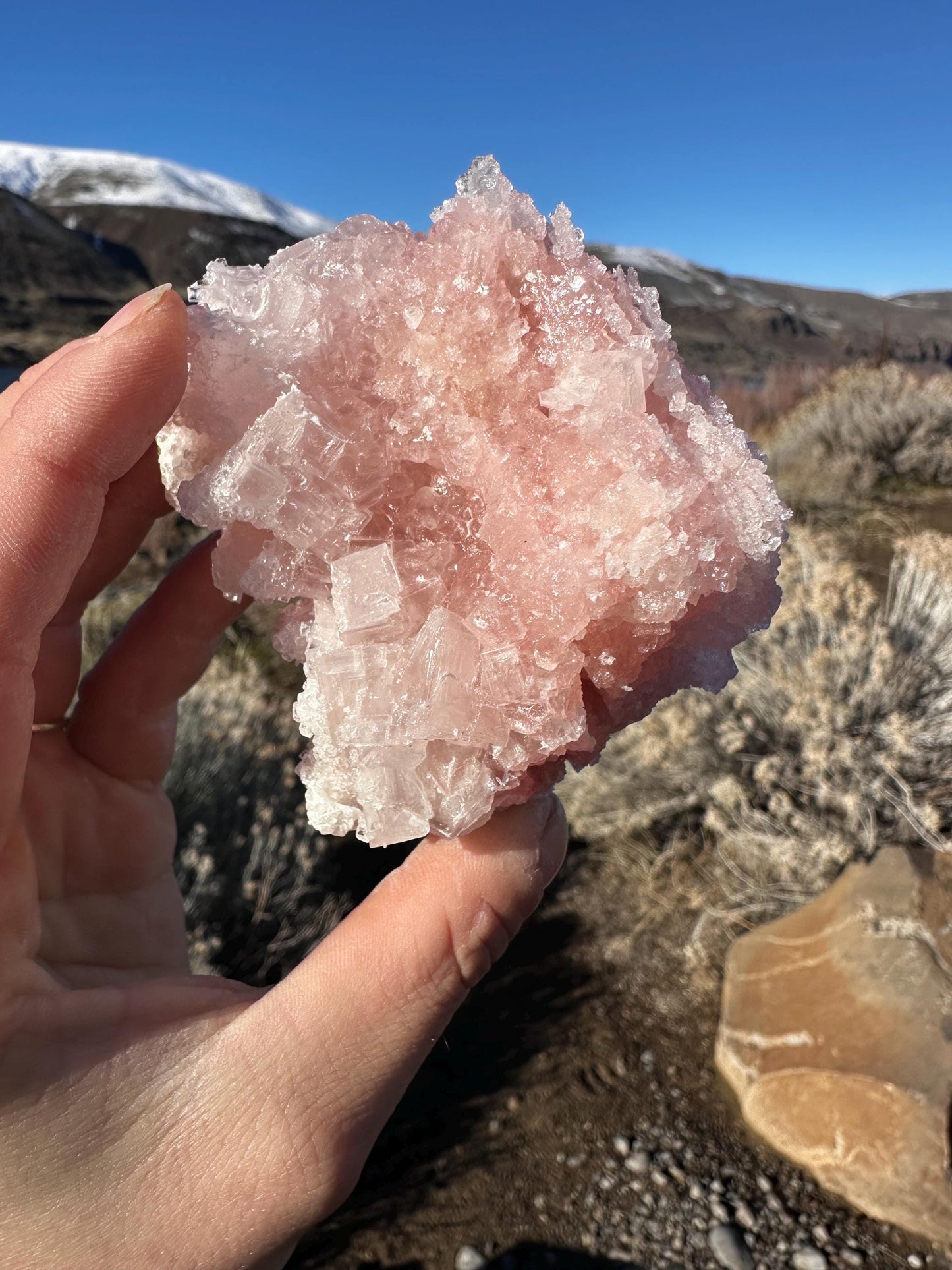 Pink Halite - Searles Lake, Trona, California, USA