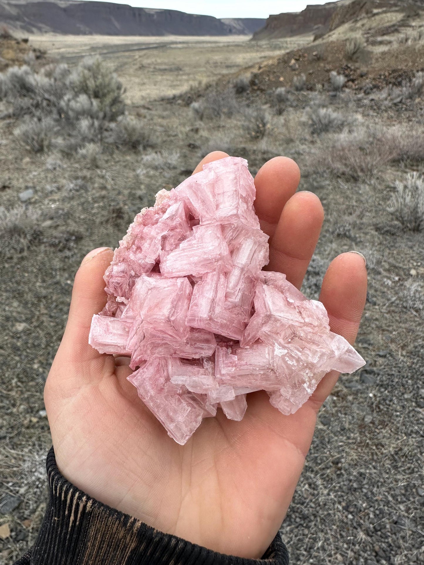 Pink Halite - Searles Lake, Trona, California, USA