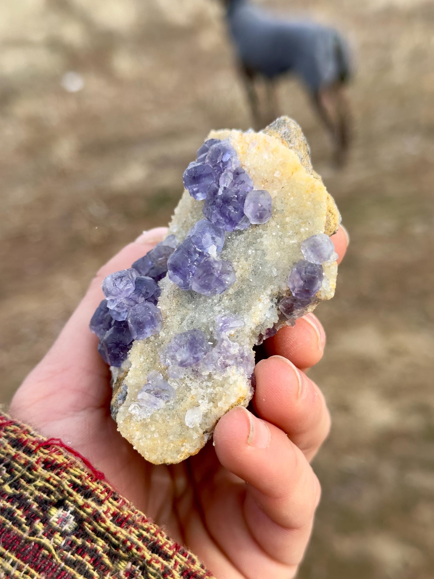 Fluorite - Xia Yang Mine, Fujian, China