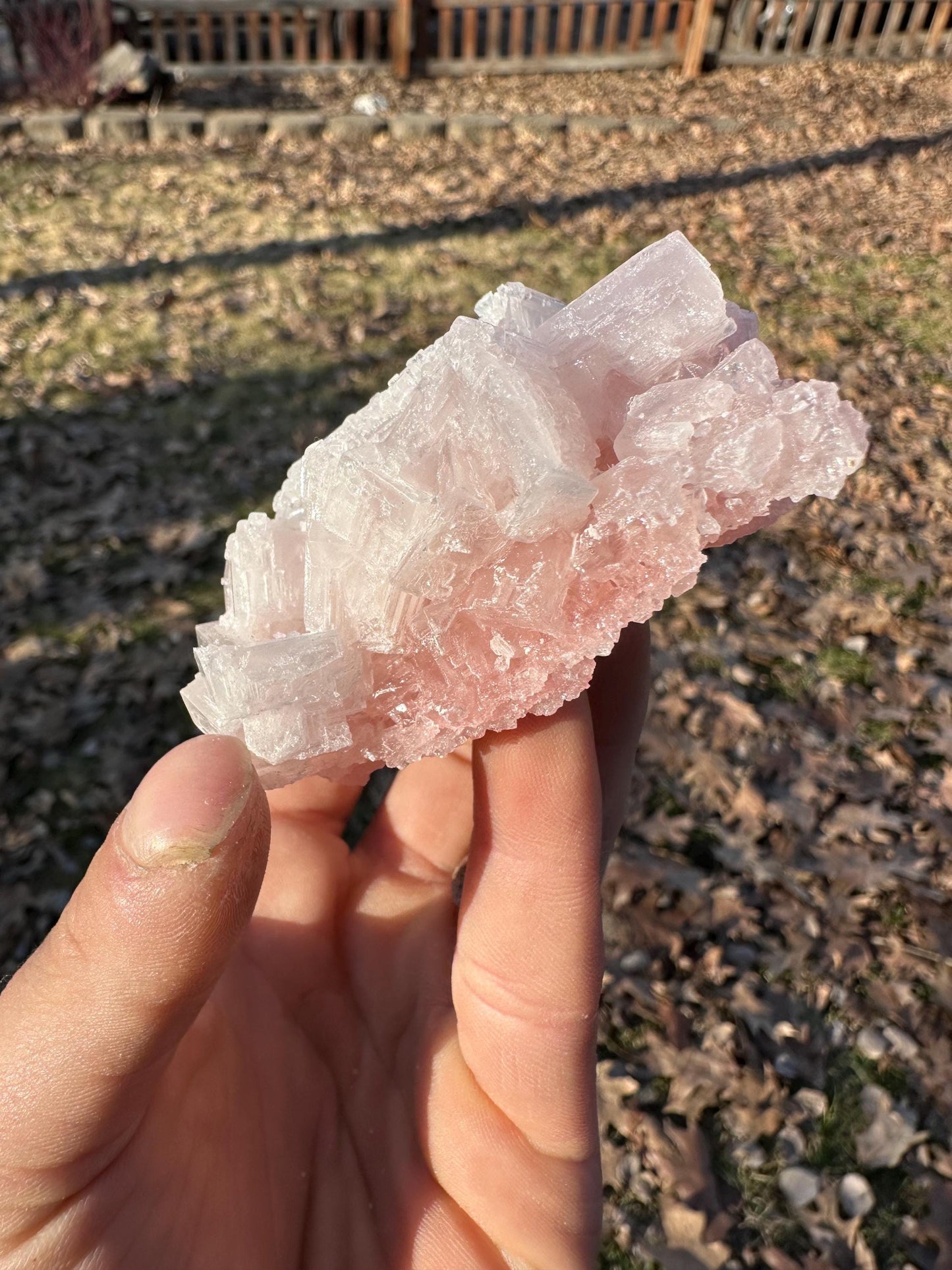 Pink Halite - Searles Lake, Trona, California, USA