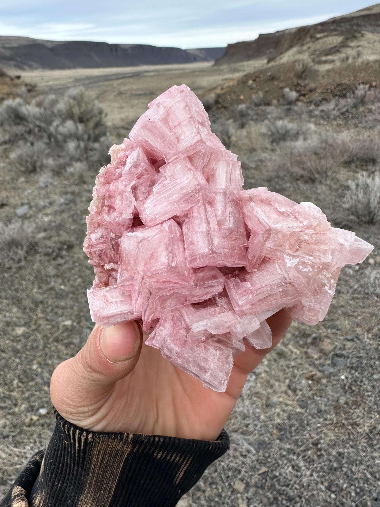 Pink Halite - Searles Lake, Trona, California, USA
