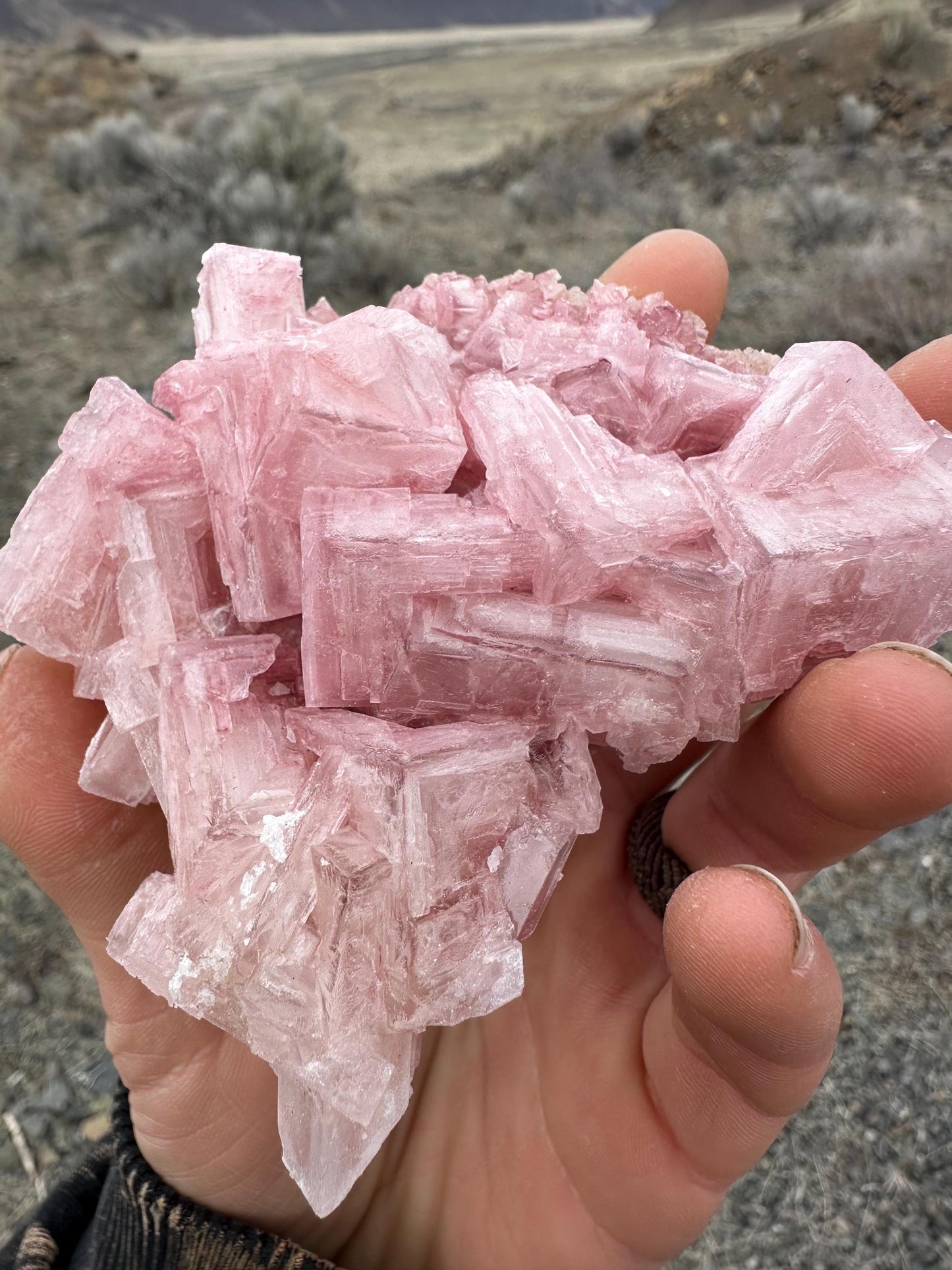 Pink Halite - Searles Lake, Trona, California, USA