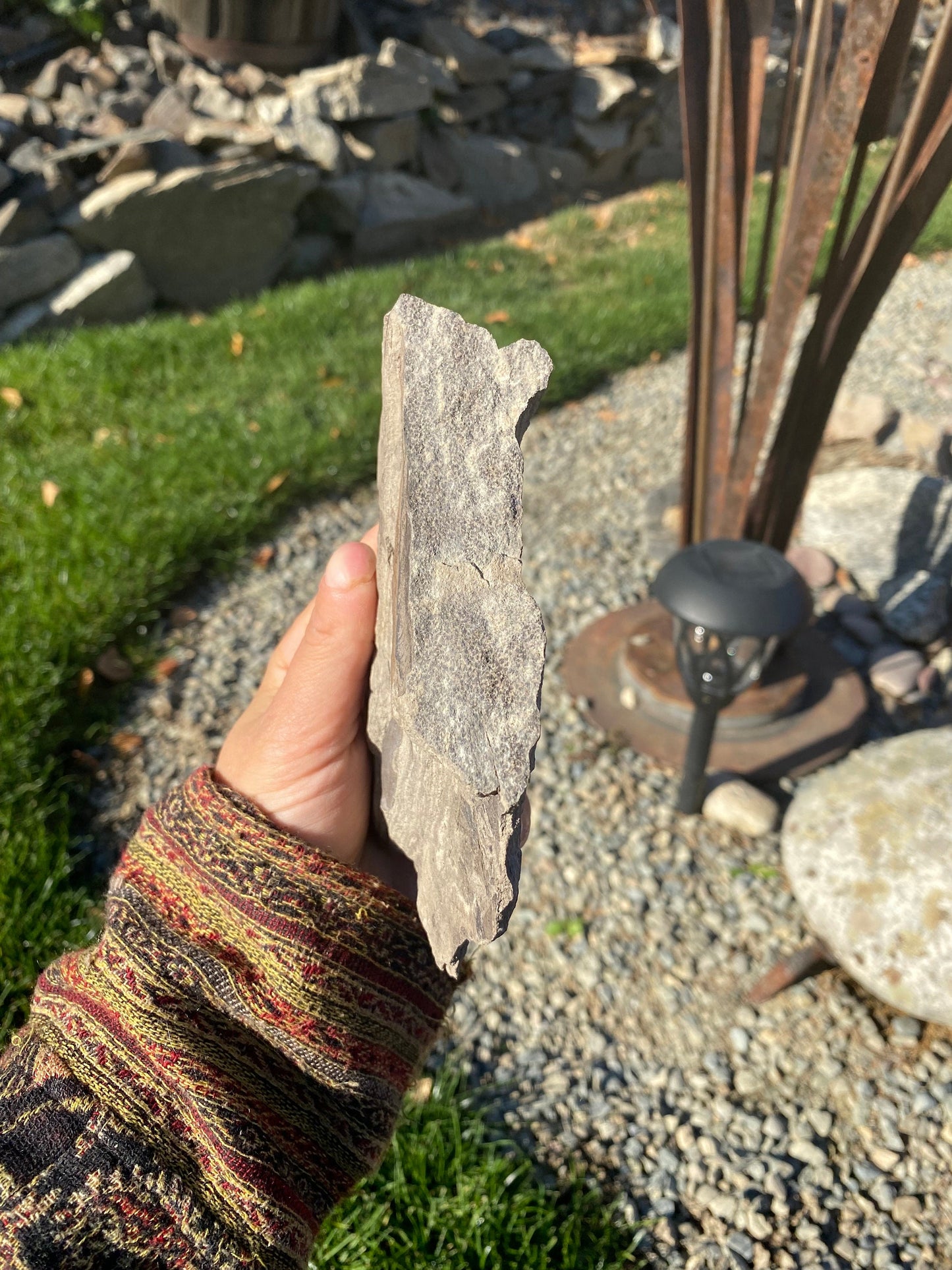 Leaf Fossils (Unknown Species) - Washington State