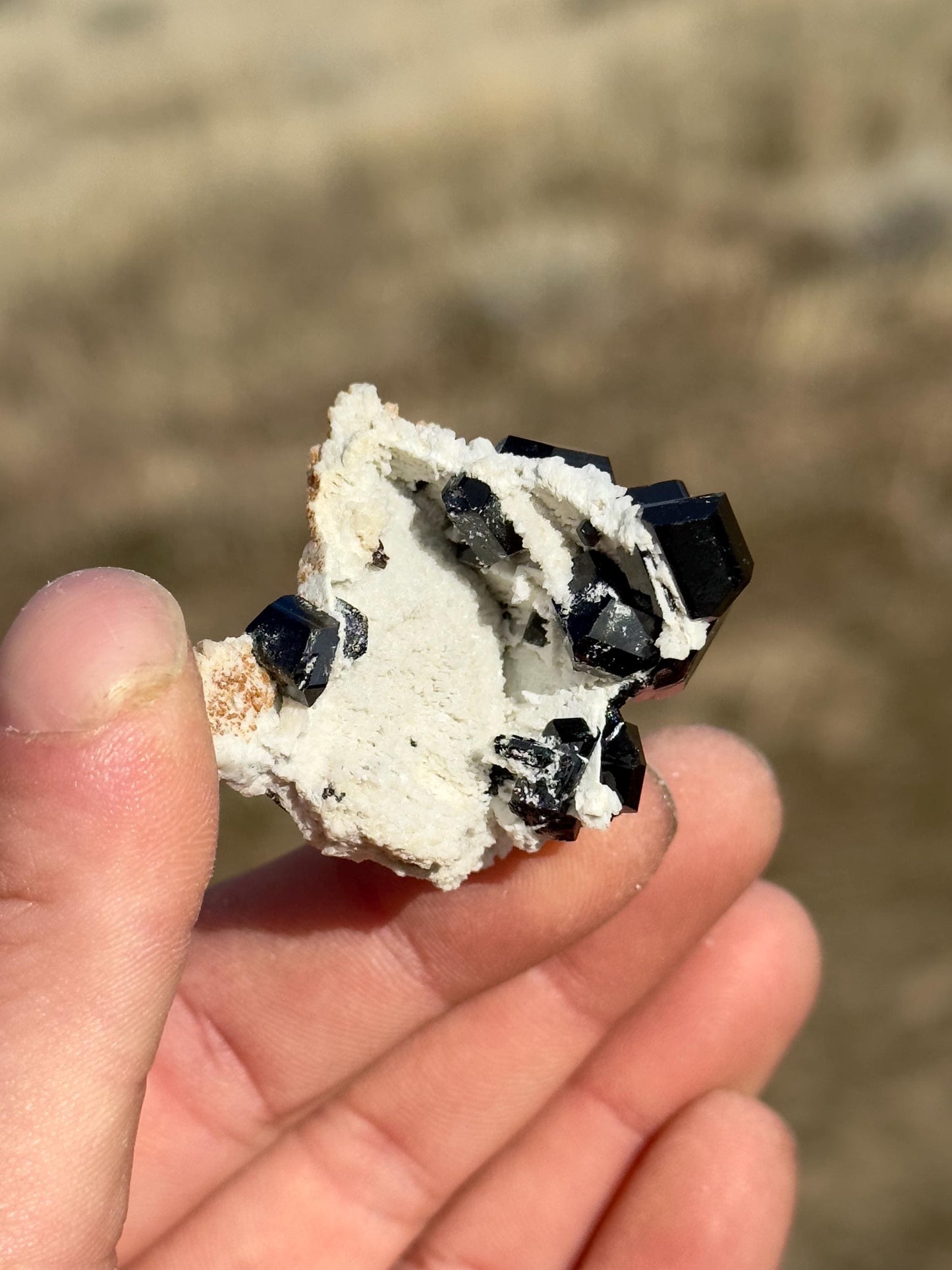 Black Tourmaline (Schorl) - Erongo Mountains, Namibia
