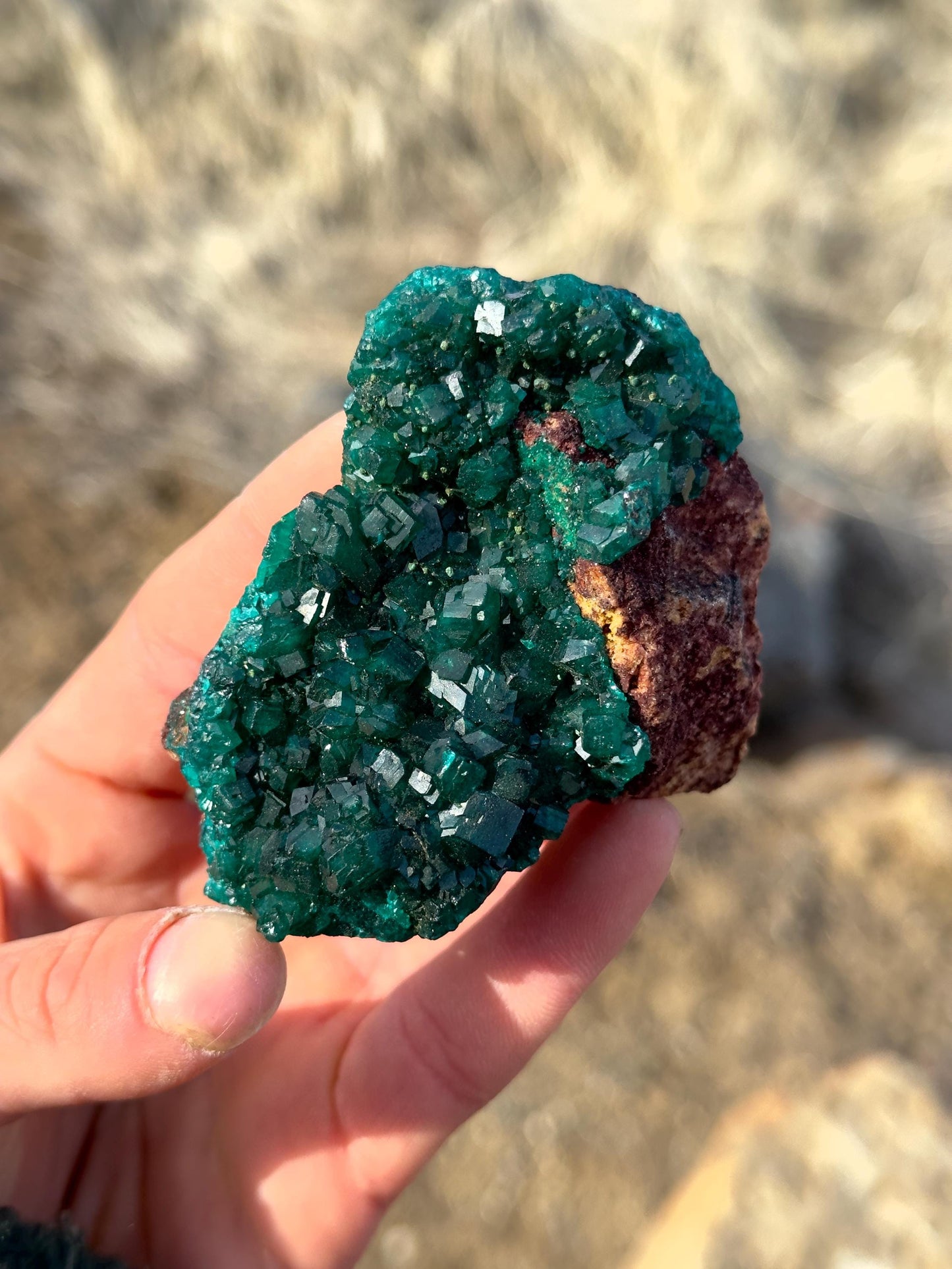 Dioptase - N’tola Mine, Mindouli, DR Congo