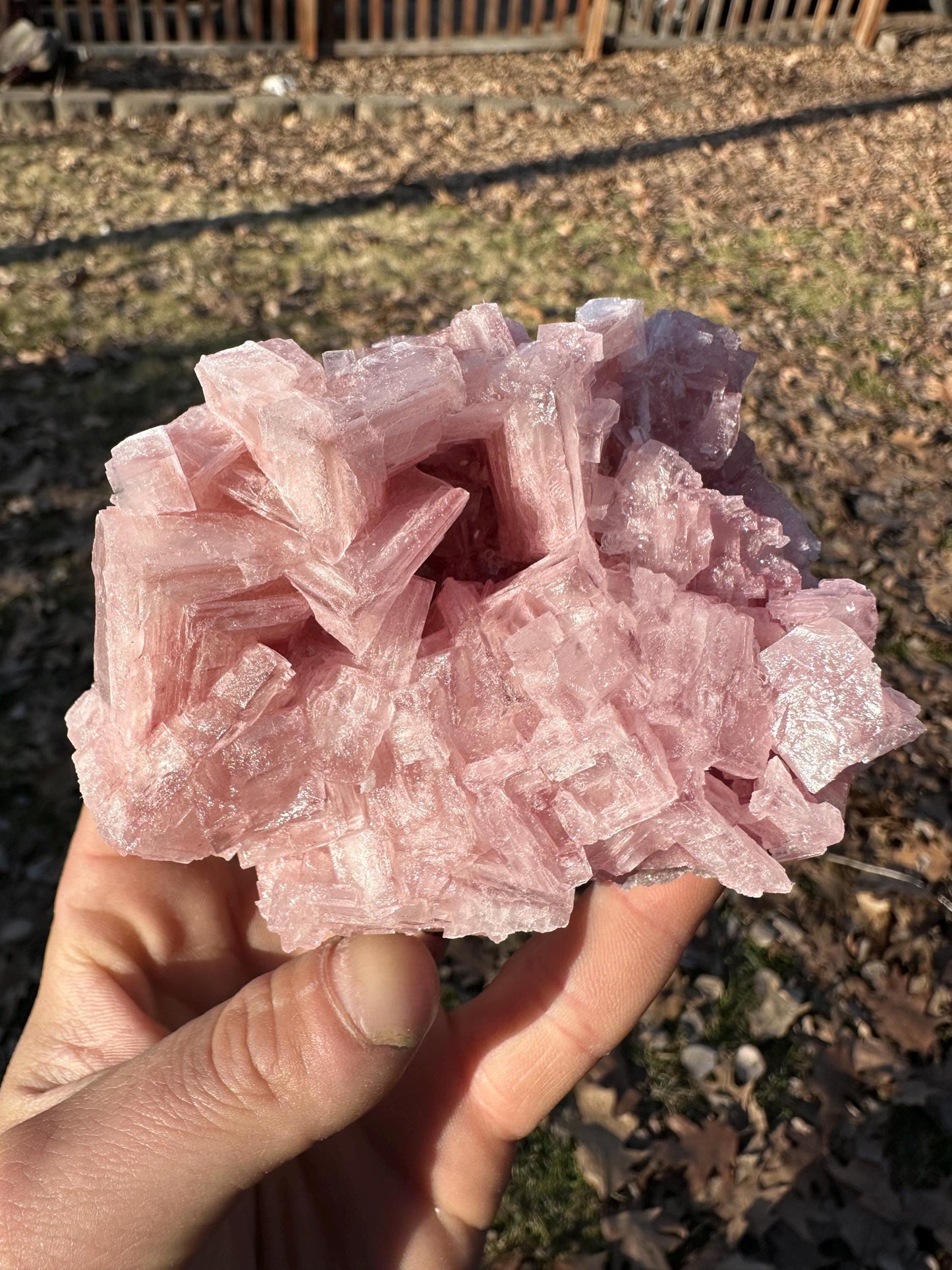 Pink Halite - Searles Lake, Trona, California, USA
