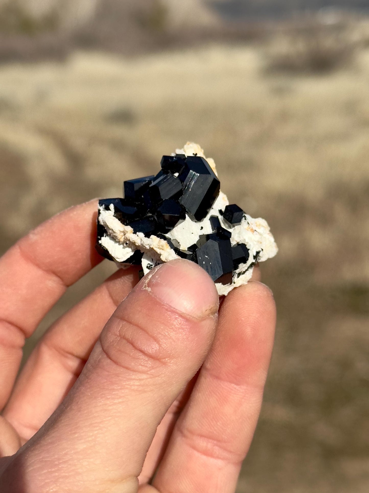 Black Tourmaline (Schorl) - Erongo Mountains, Namibia
