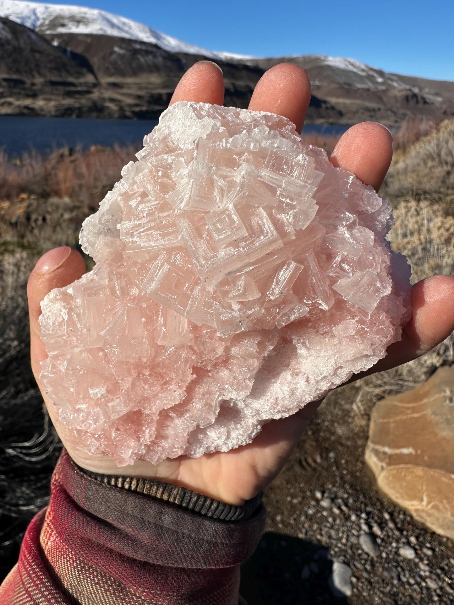 Pink Halite - Searles Lake, Trona, California, USA