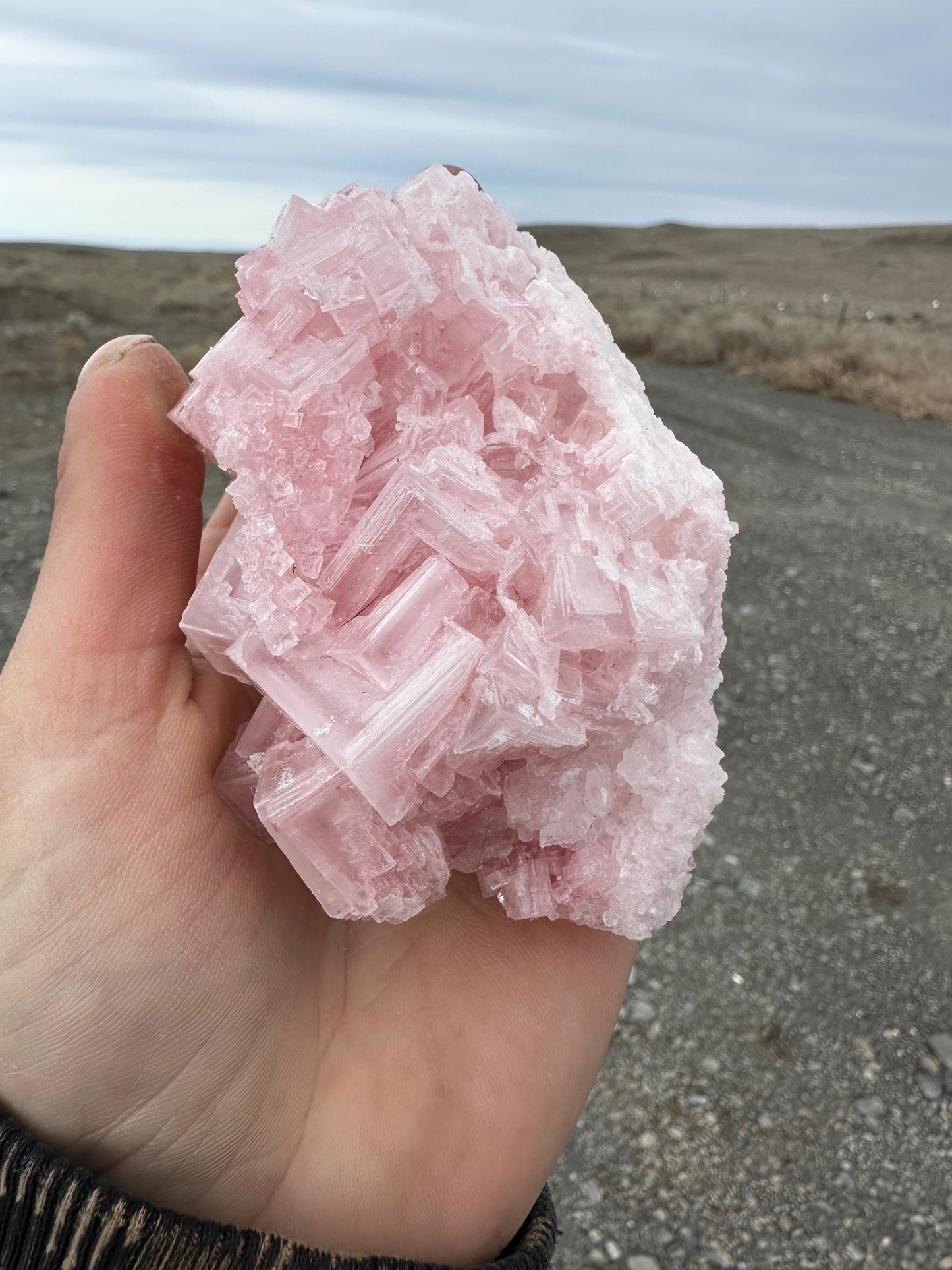 Pink Halite - Searles Lake, Trona, California, USA