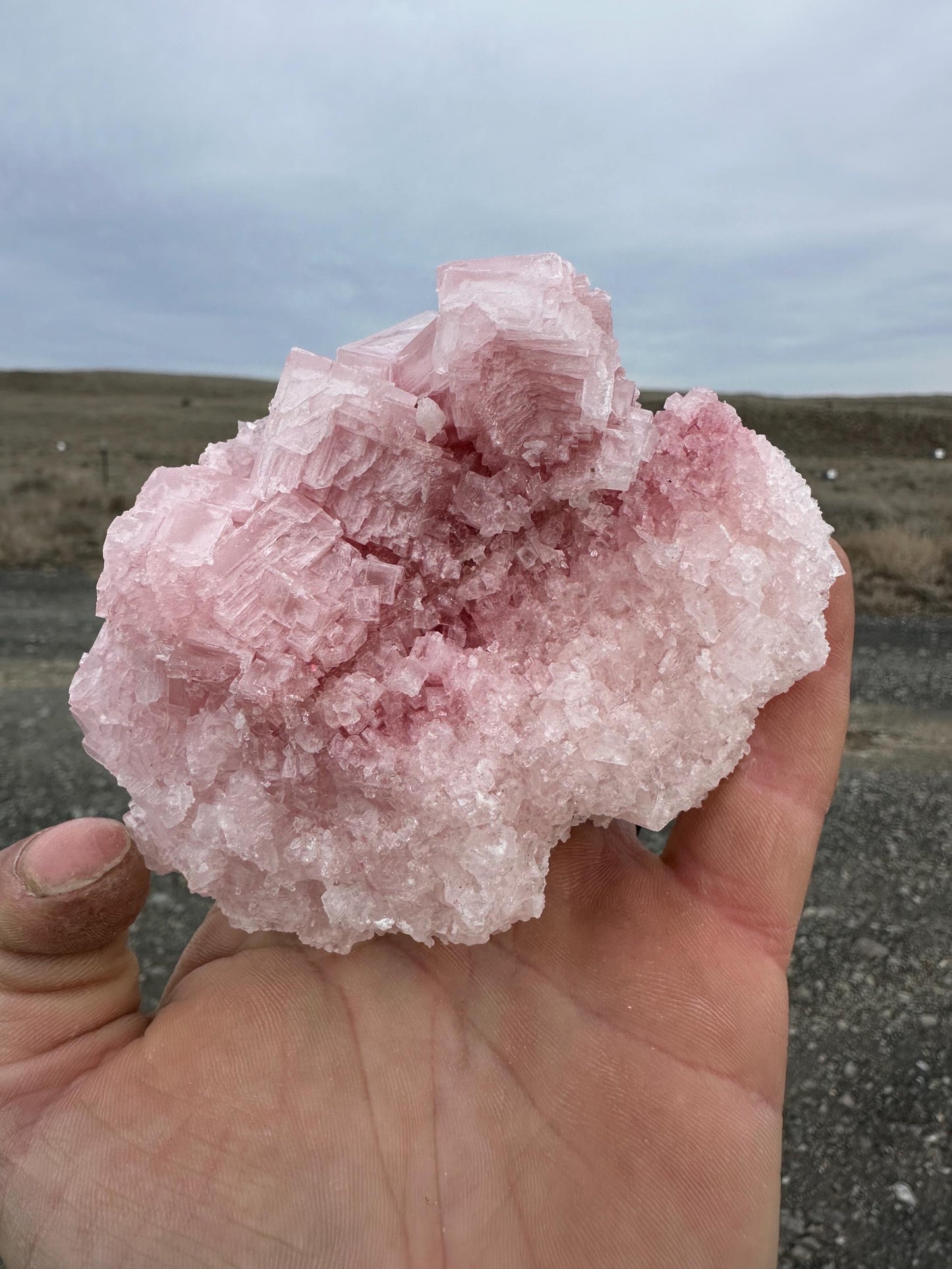 Pink Halite - Searles Lake, Trona, California, USA