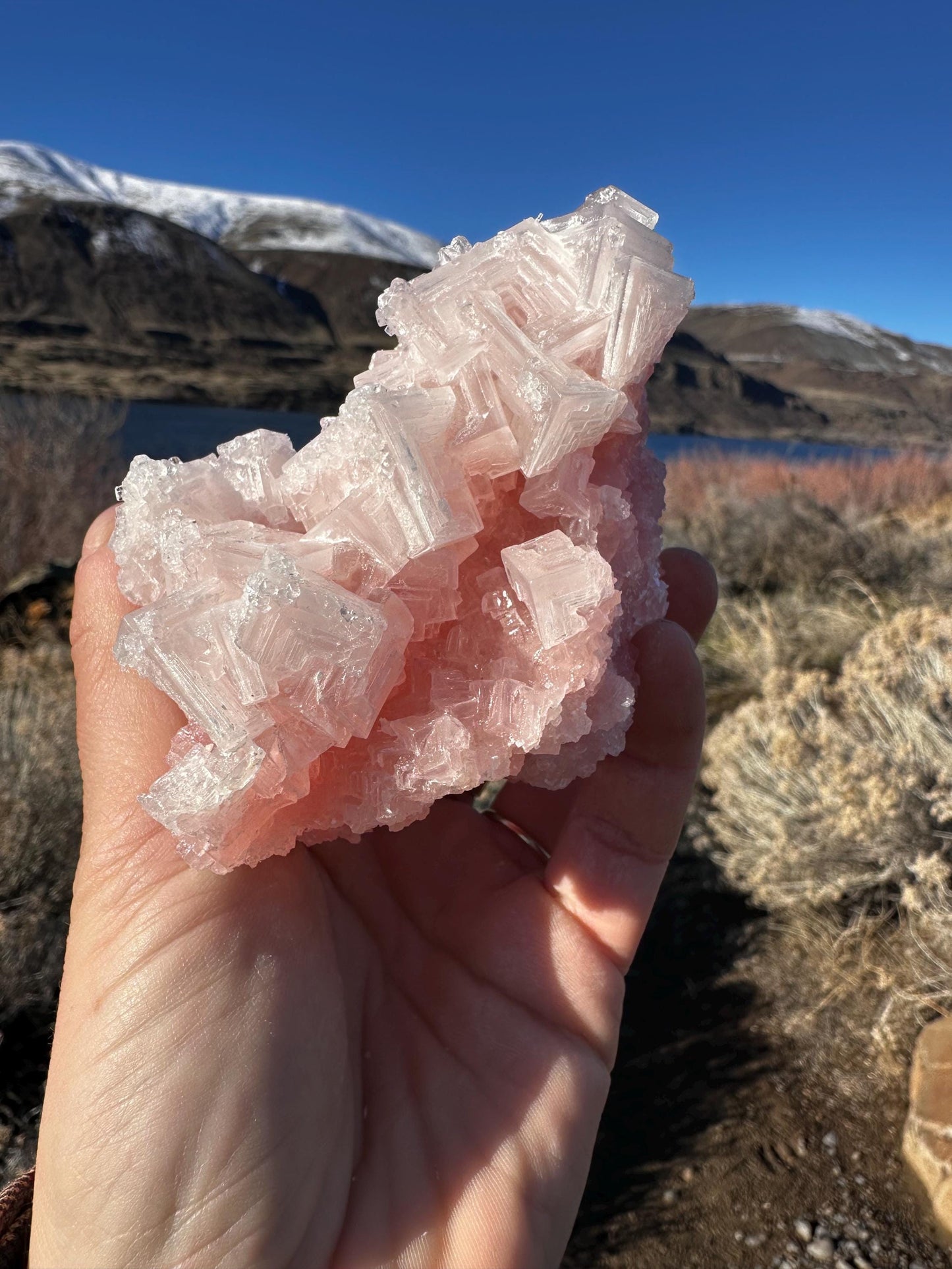 Pink Halite - Searles Lake, Trona, California, USA