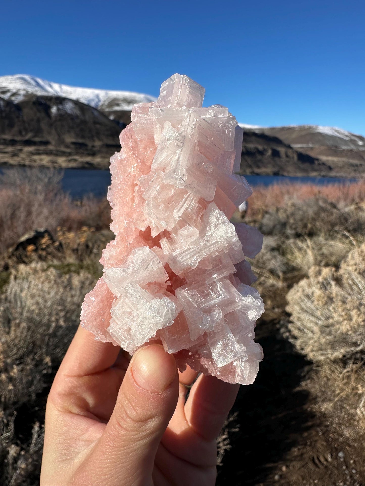 Pink Halite - Searles Lake, Trona, California, USA