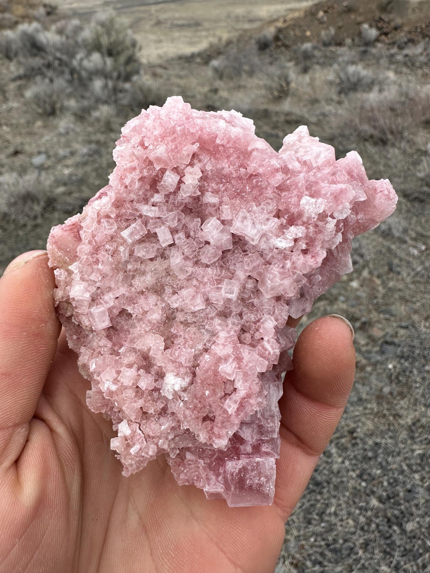 Pink Halite - Searles Lake, Trona, California, USA