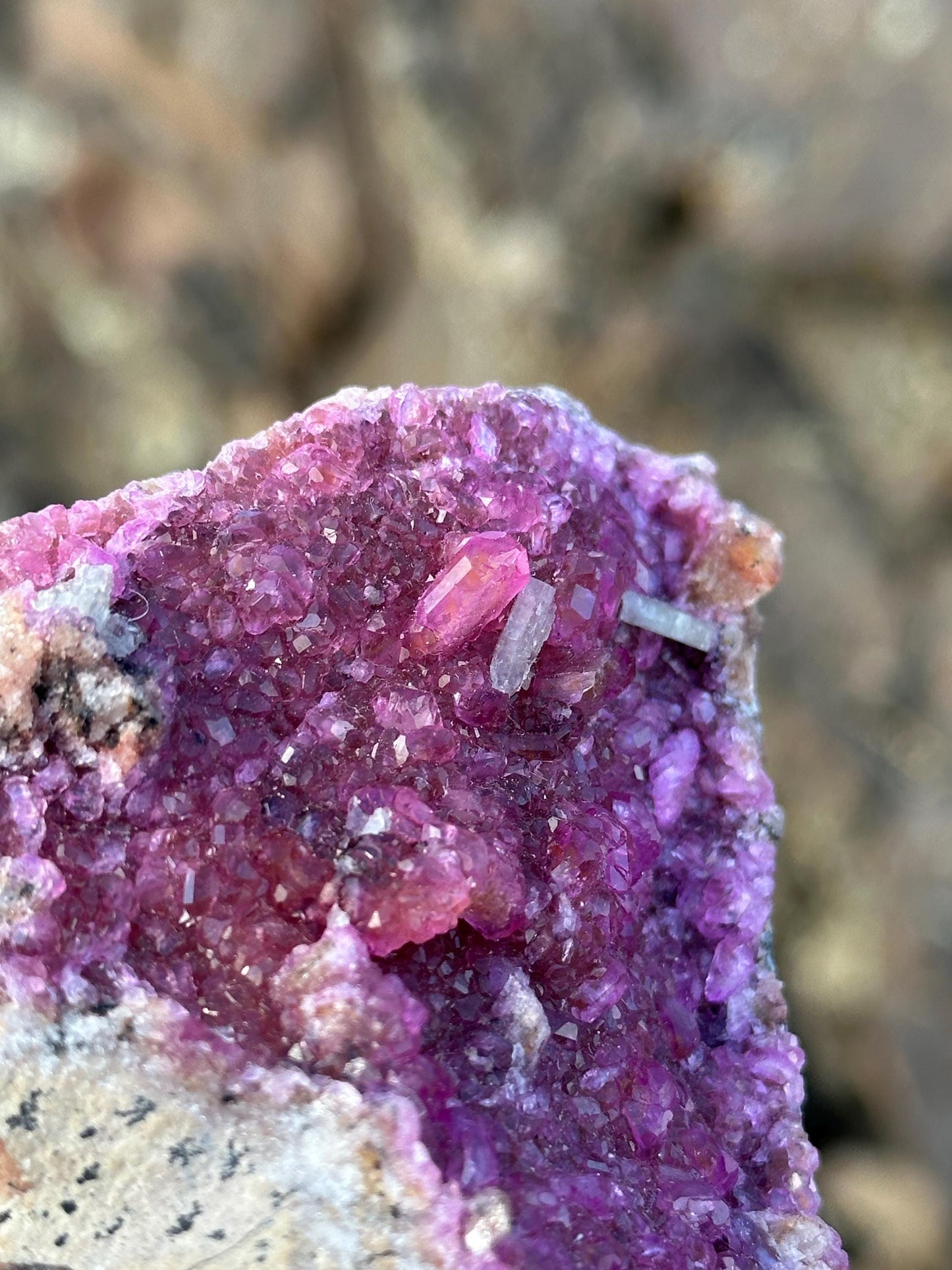 Cobaltoan Dolomite - Mashamba West Mine, DR Congo