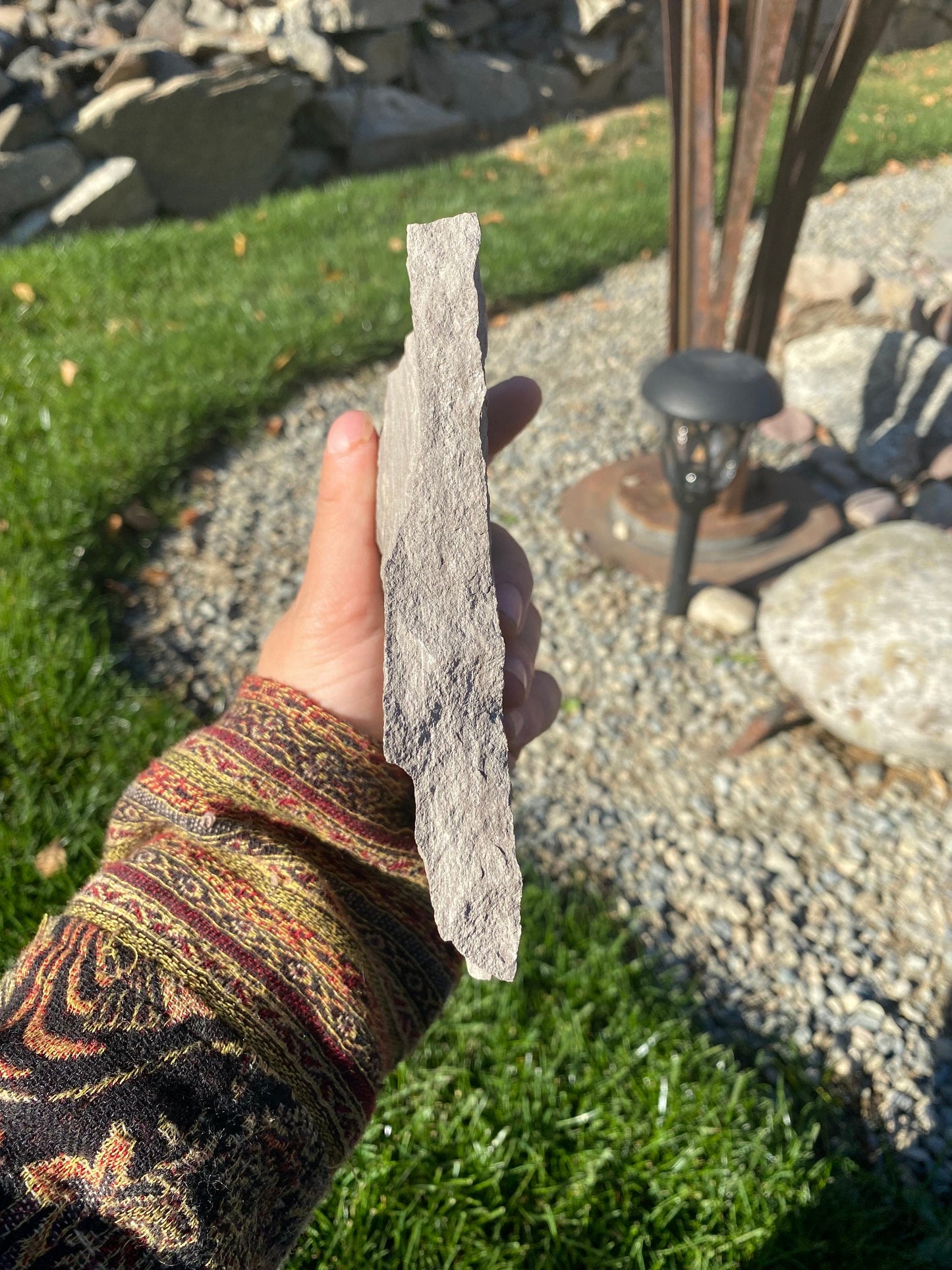 Leaf Fossil (Unknown Species) - Washington State