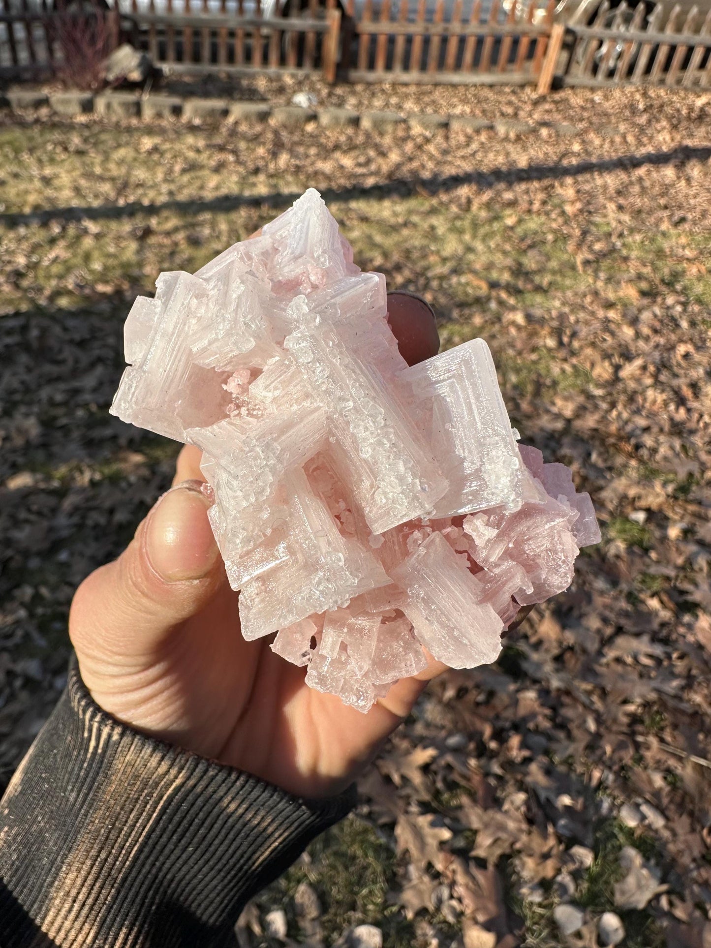 Pink Halite - Searles Lake, Trona, California, USA