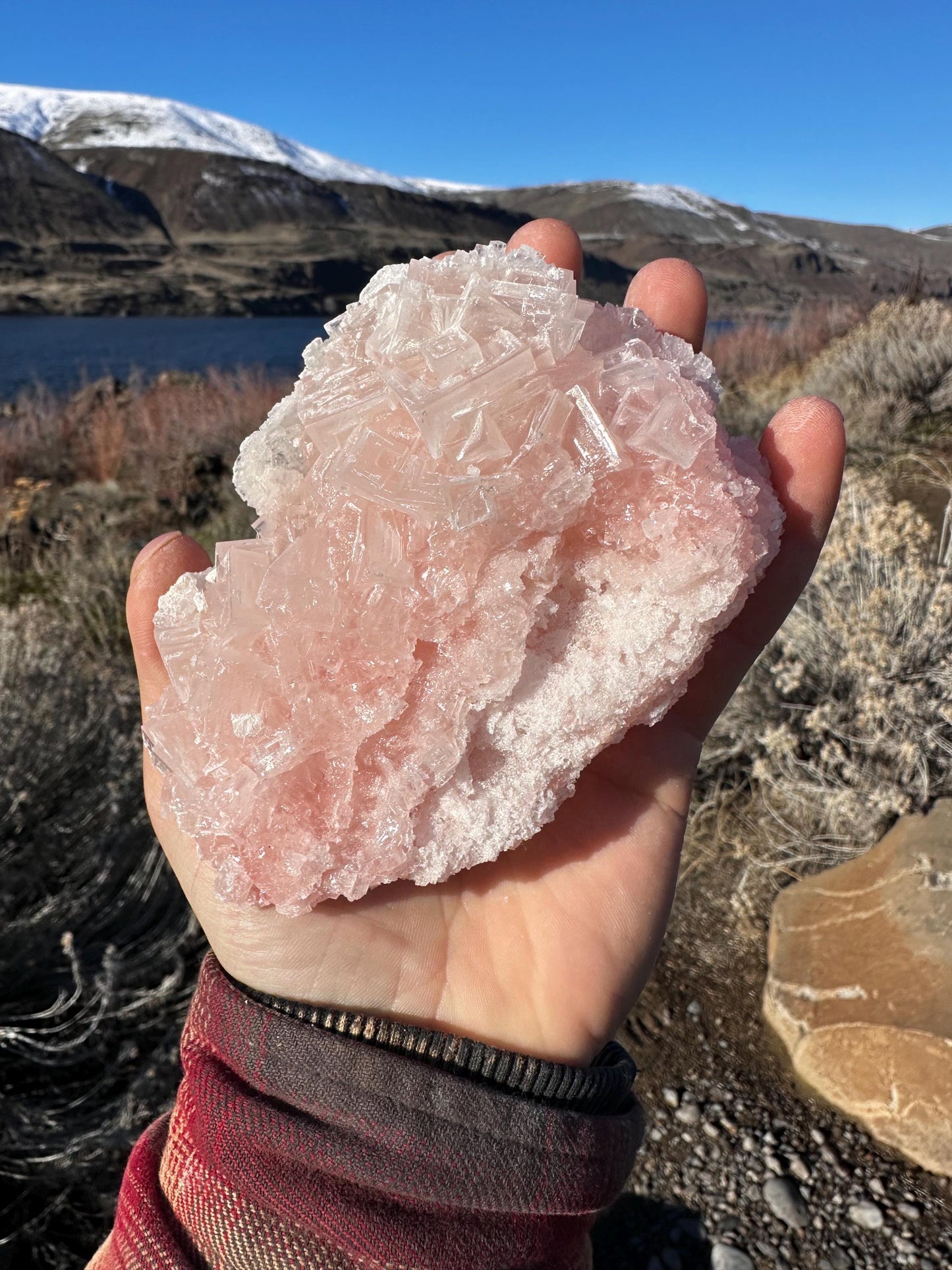 Pink Halite - Searles Lake, Trona, California, USA