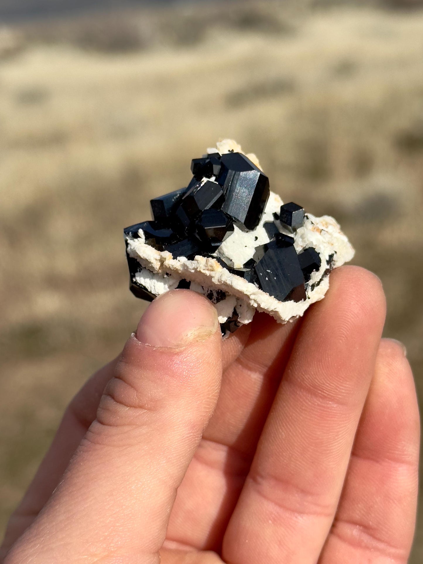 Black Tourmaline (Schorl) - Erongo Mountains, Namibia