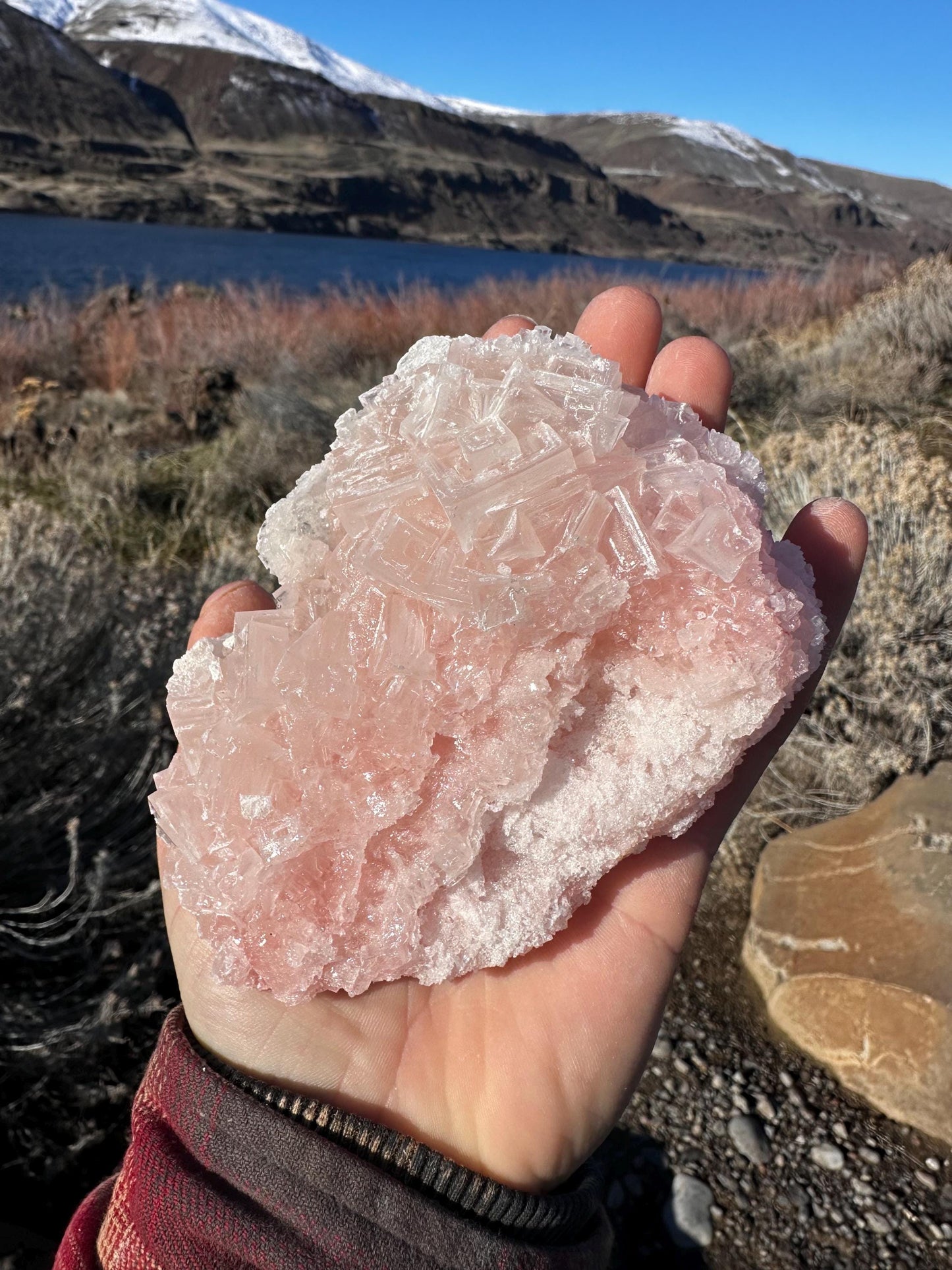 Pink Halite - Searles Lake, Trona, California, USA