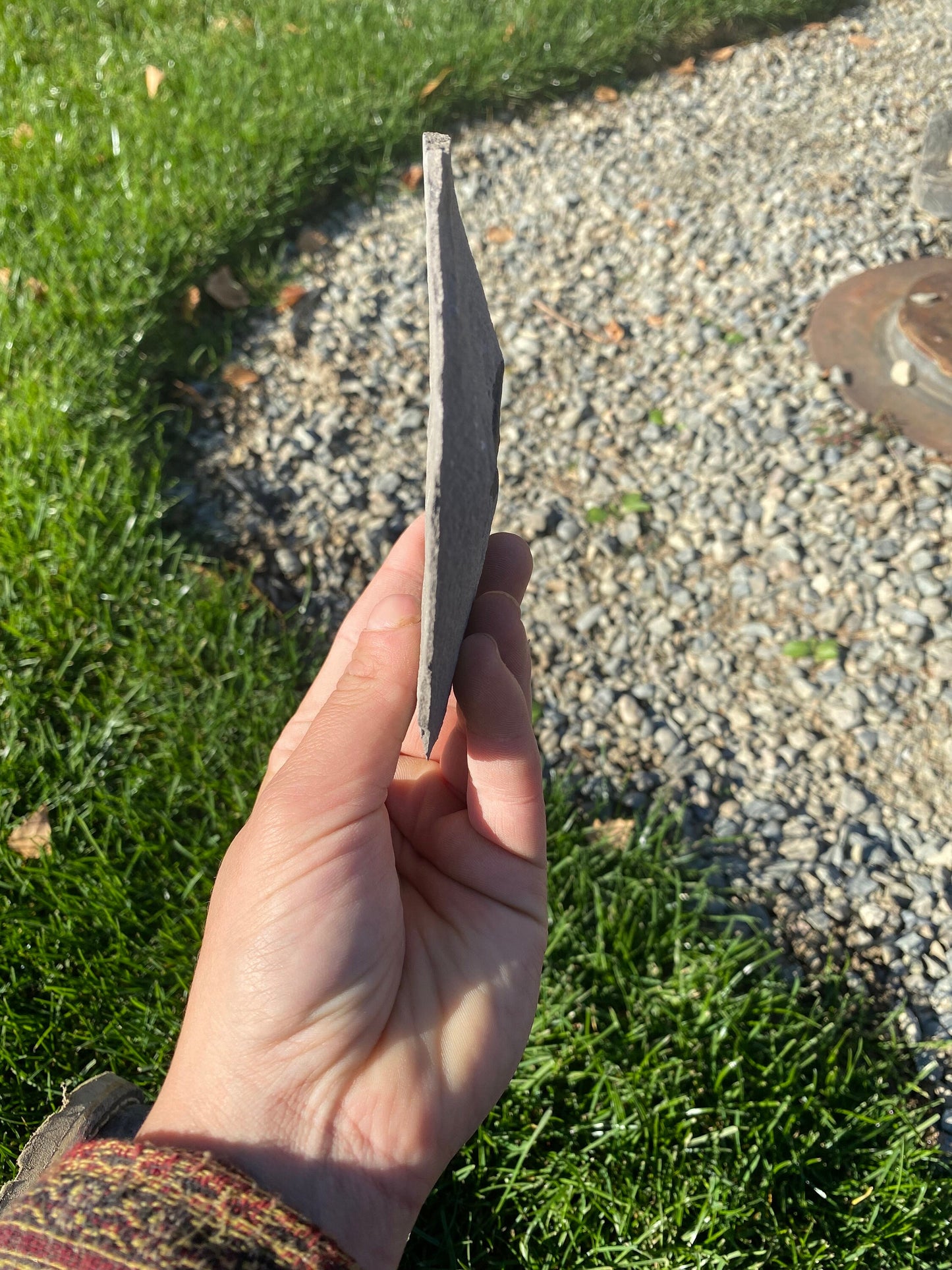 Leaf Fossil (Unknown Species) - Washington State