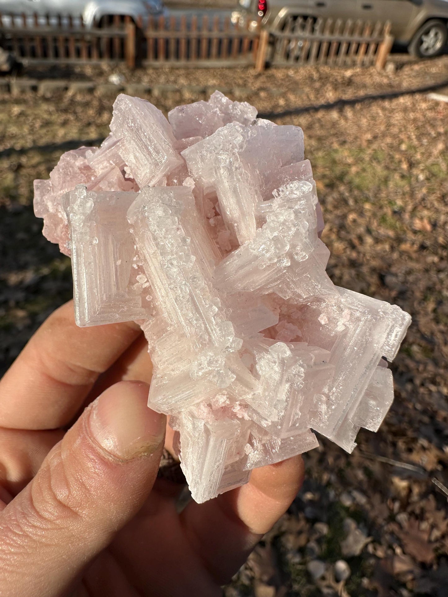 Pink Halite - Searles Lake, Trona, California, USA