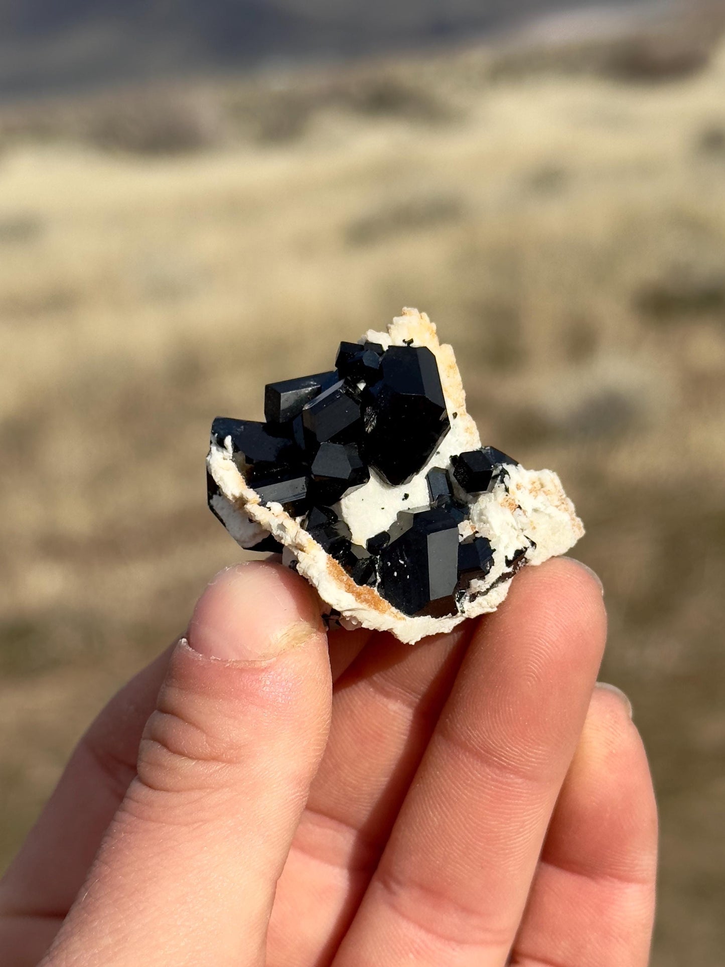Black Tourmaline (Schorl) - Erongo Mountains, Namibia