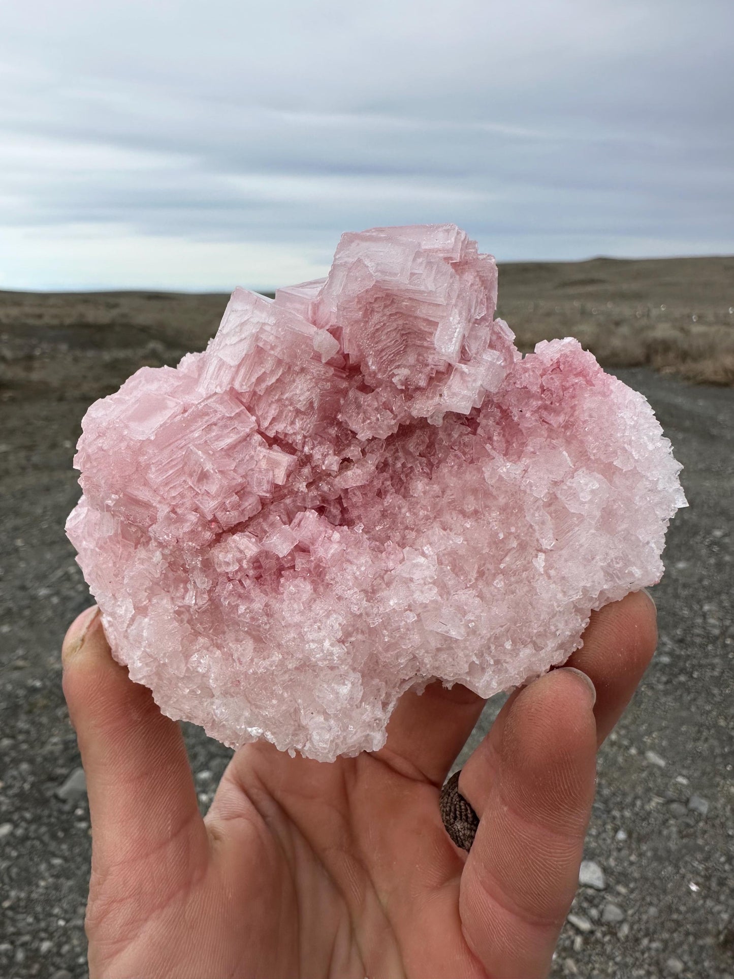 Pink Halite - Searles Lake, Trona, California, USA