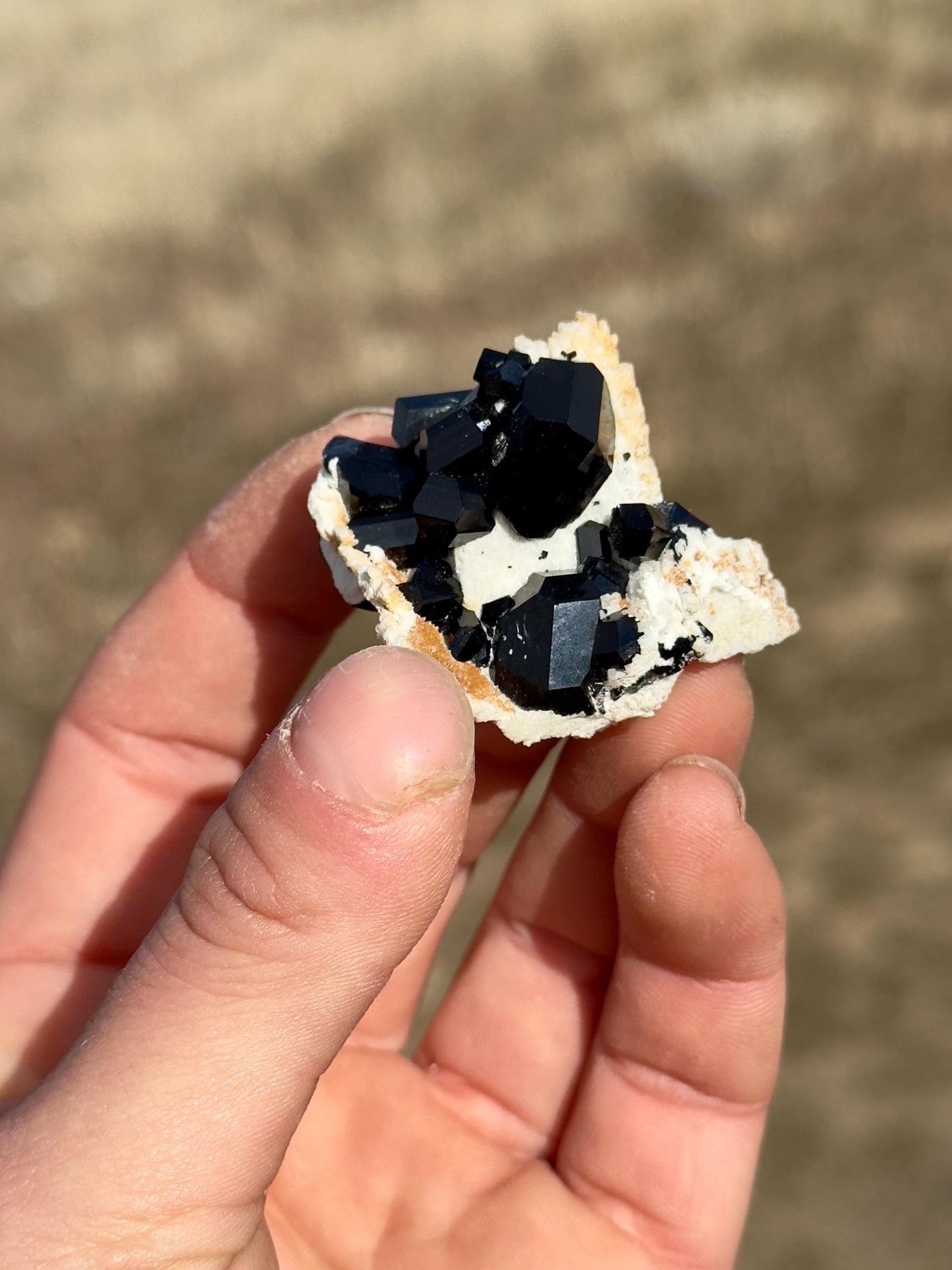 Black Tourmaline (Schorl) - Erongo Mountains, Namibia